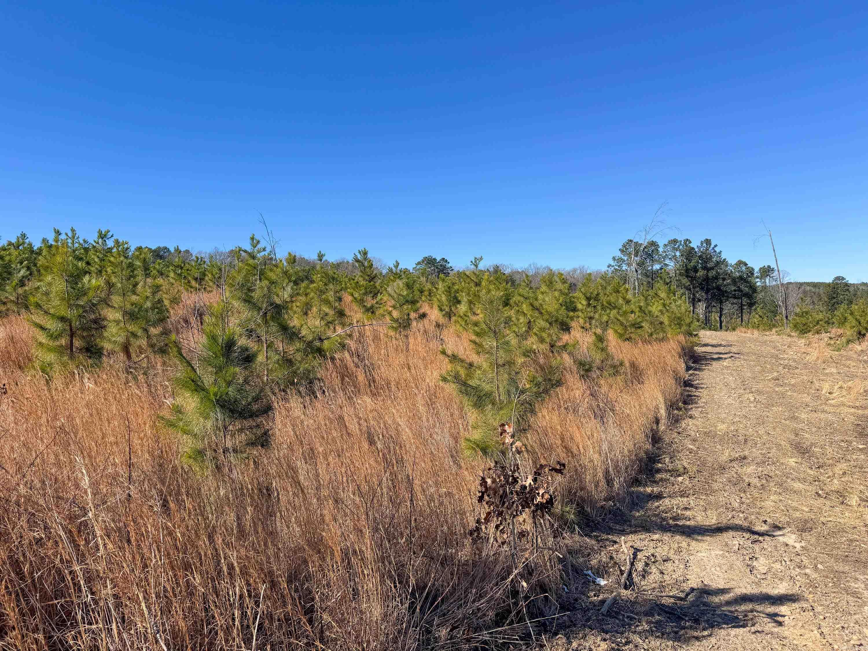 952 Tarter Hill  Quitman, AR