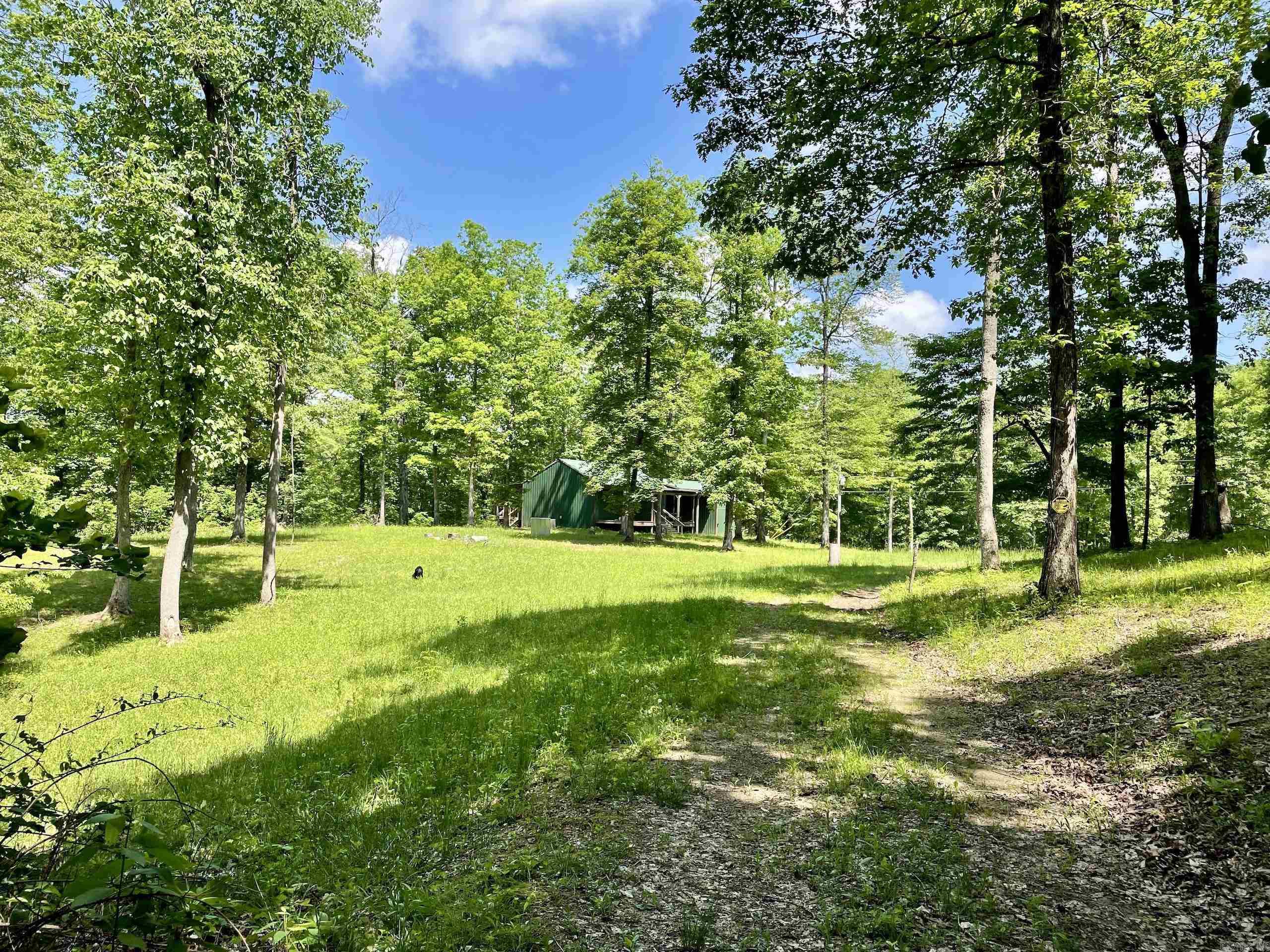 000 White Oak Mt  Hector, AR