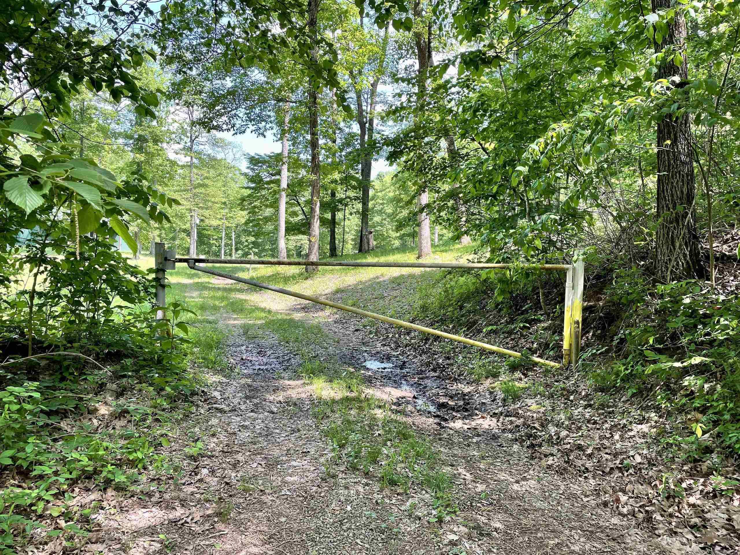 000 White Oak Mt  Hector, AR