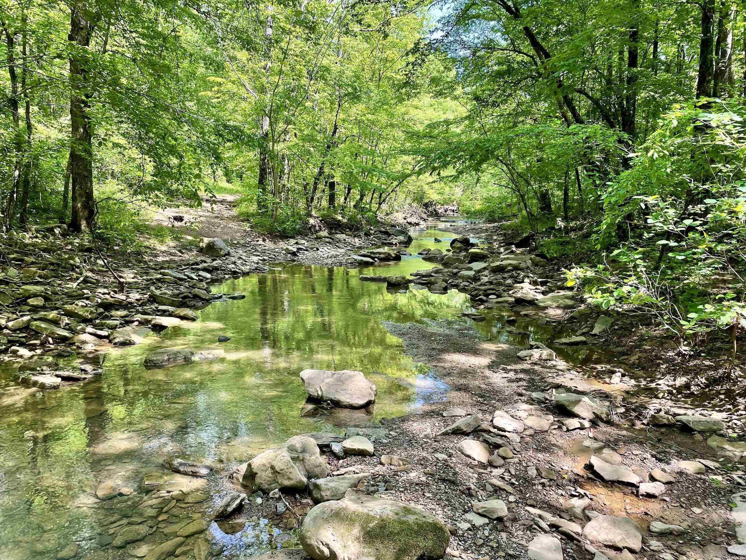 000 White Oak Mt  Hector, AR