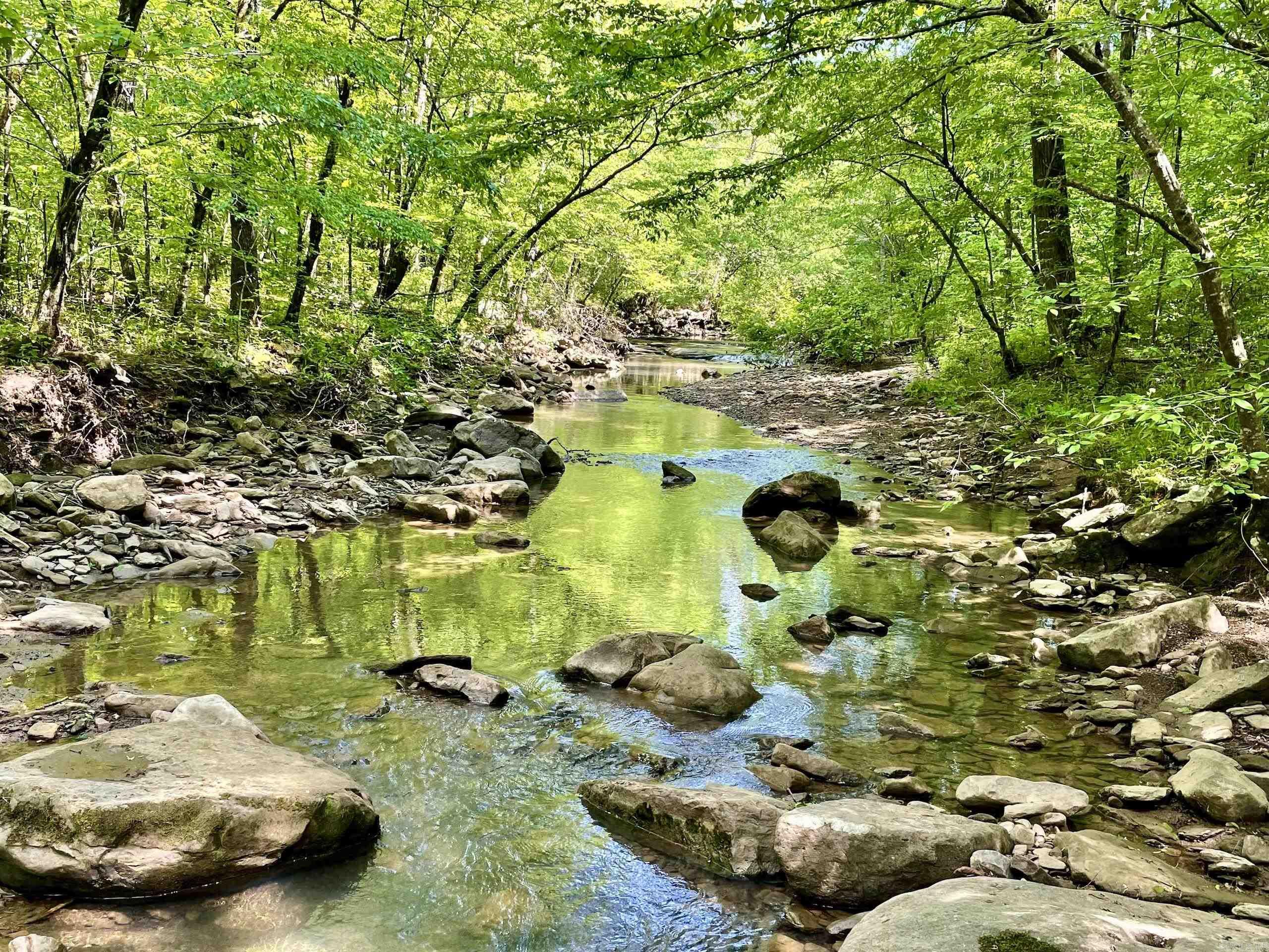 000 White Oak Mt  Hector, AR