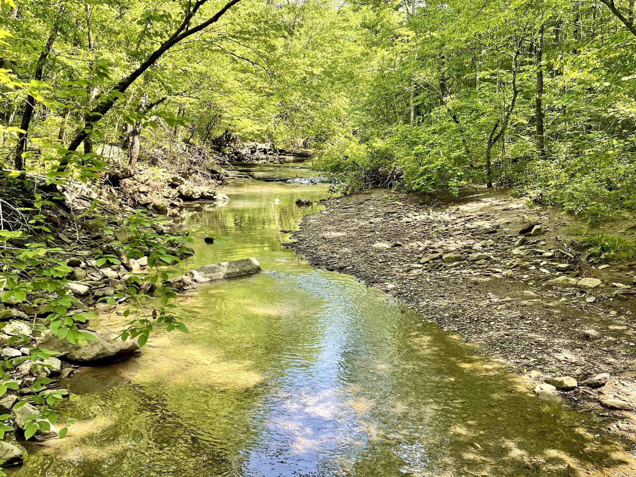 000 White Oak Mt  Hector, AR