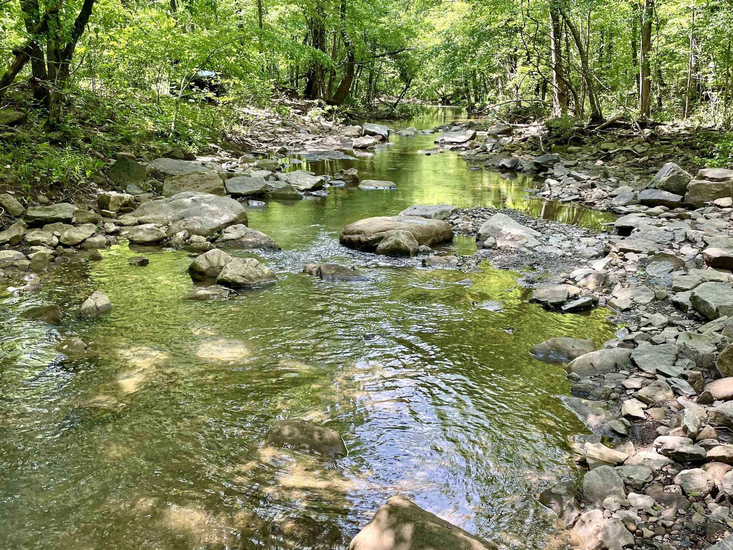 000 White Oak Mt  Hector, AR