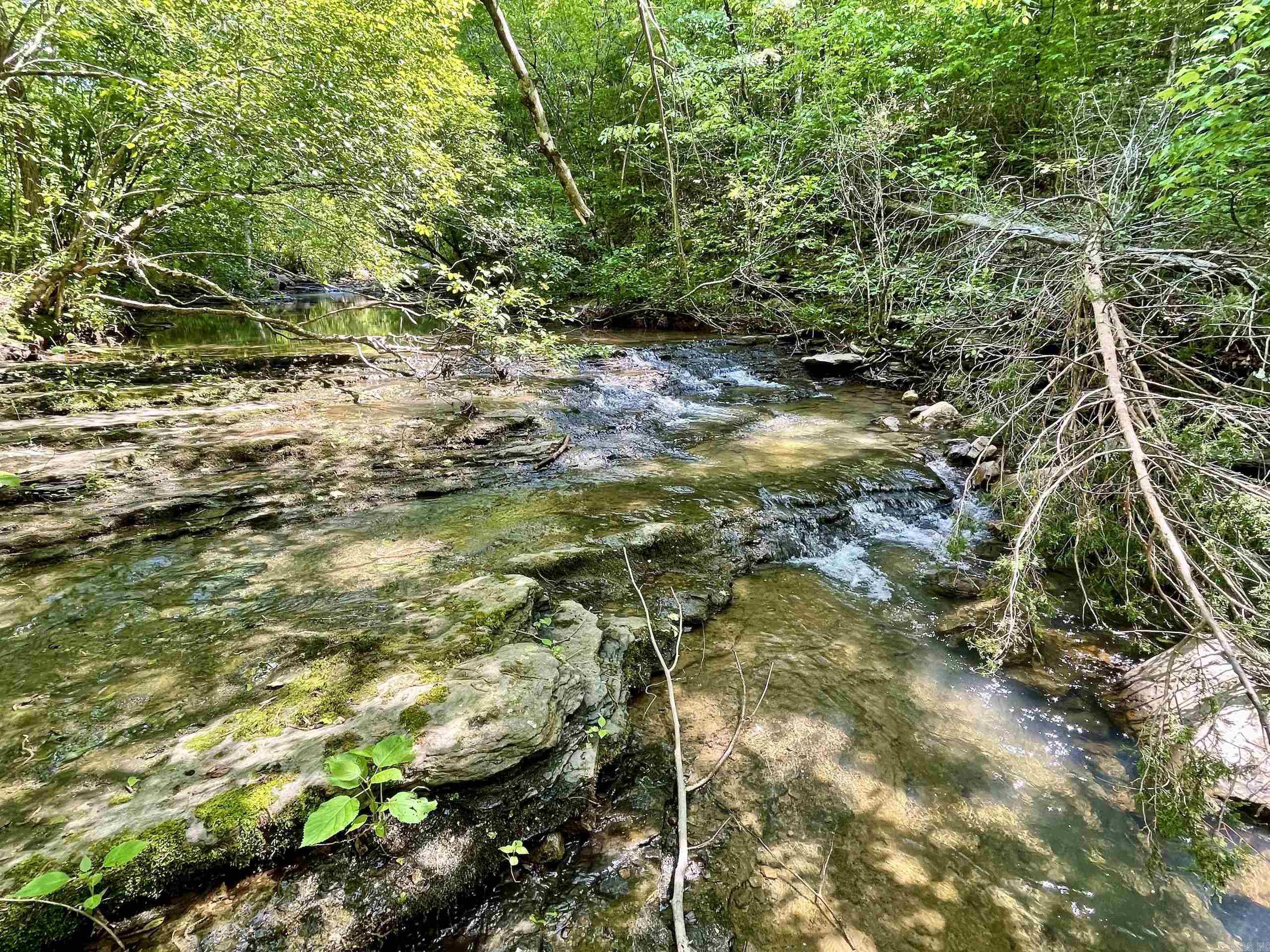 000 White Oak Mt  Hector, AR