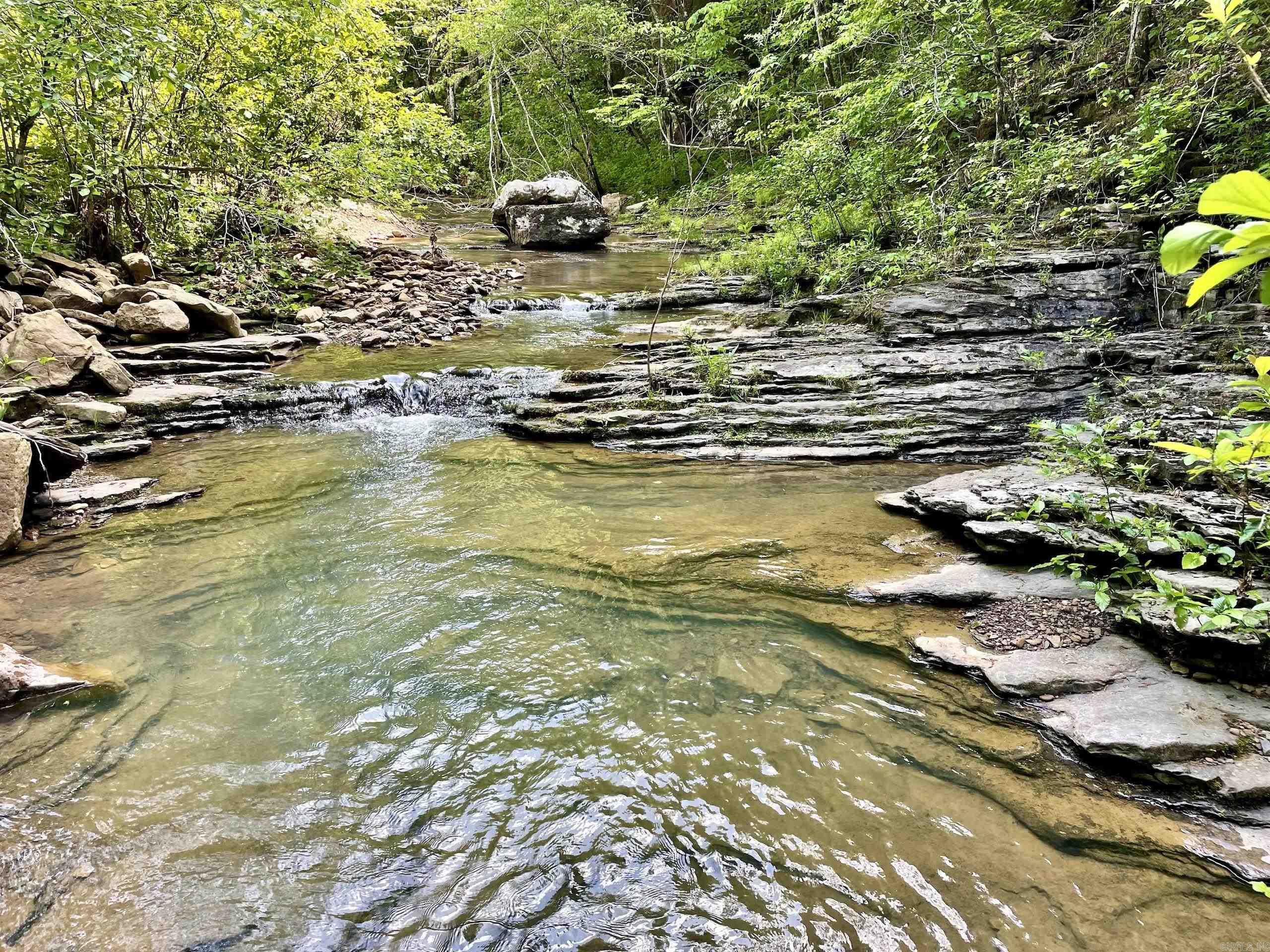 000 White Oak Mt  Hector, AR