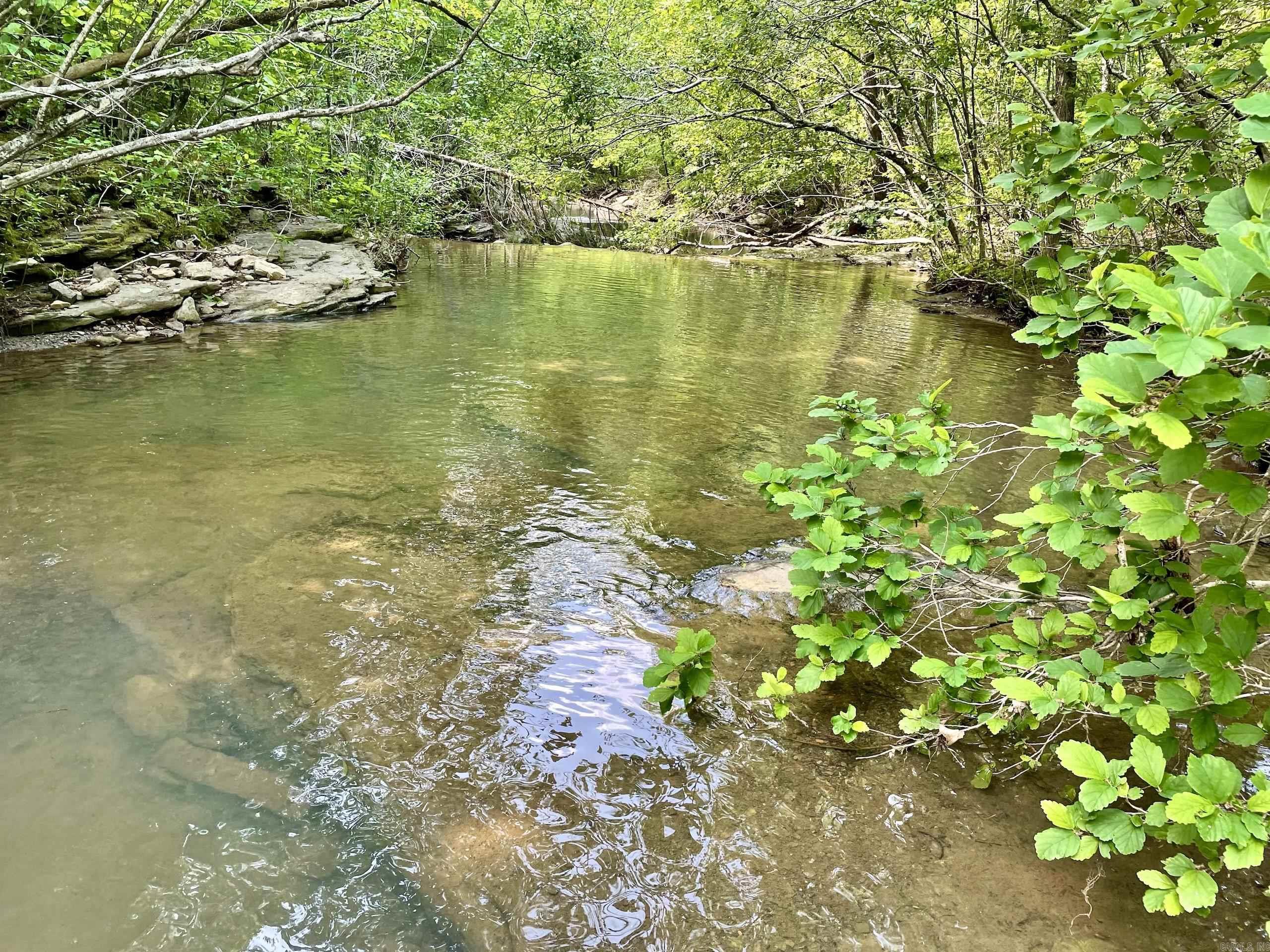 000 White Oak Mt  Hector, AR