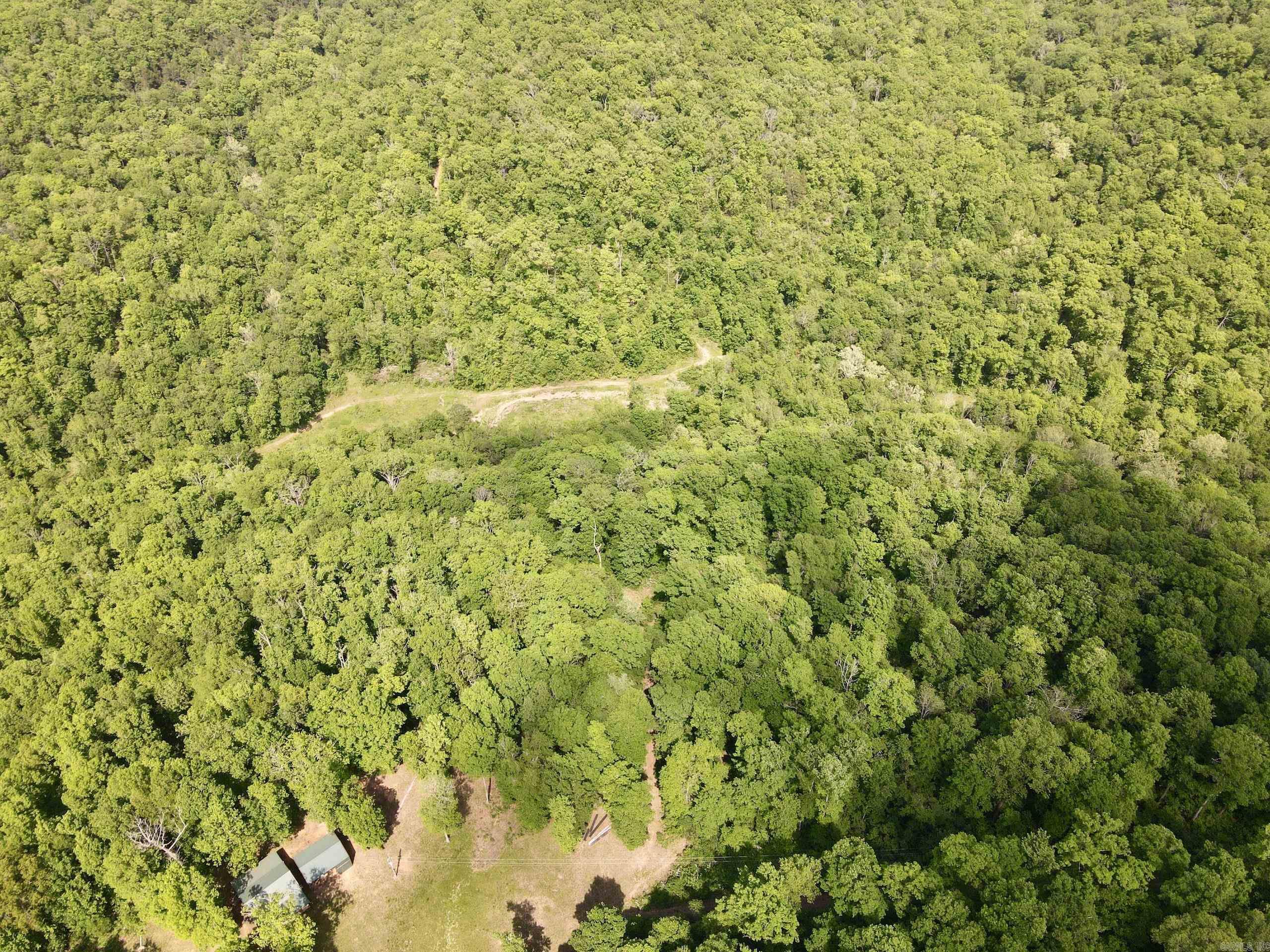 000 White Oak Mt  Hector, AR