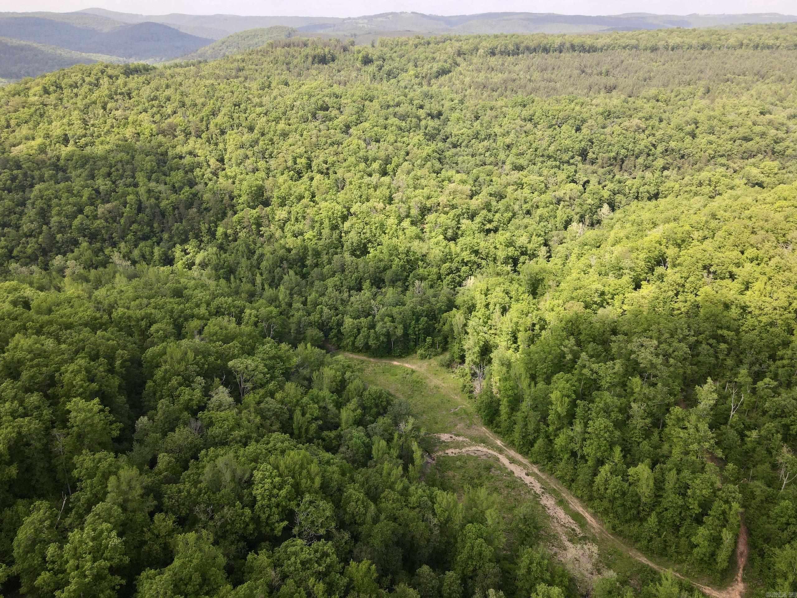 000 White Oak Mt  Hector, AR