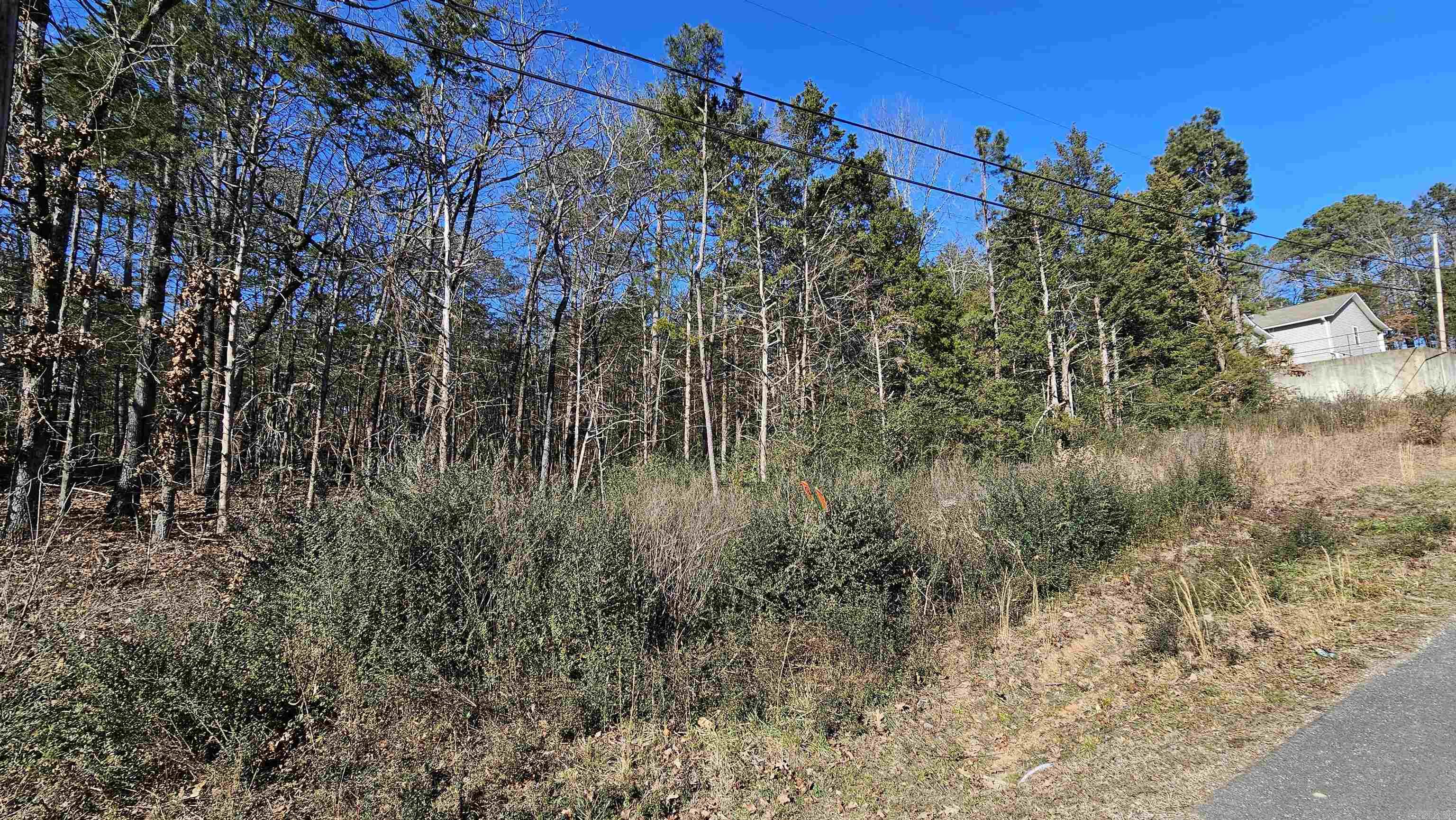 0 Spruce St  Heber Springs, AR