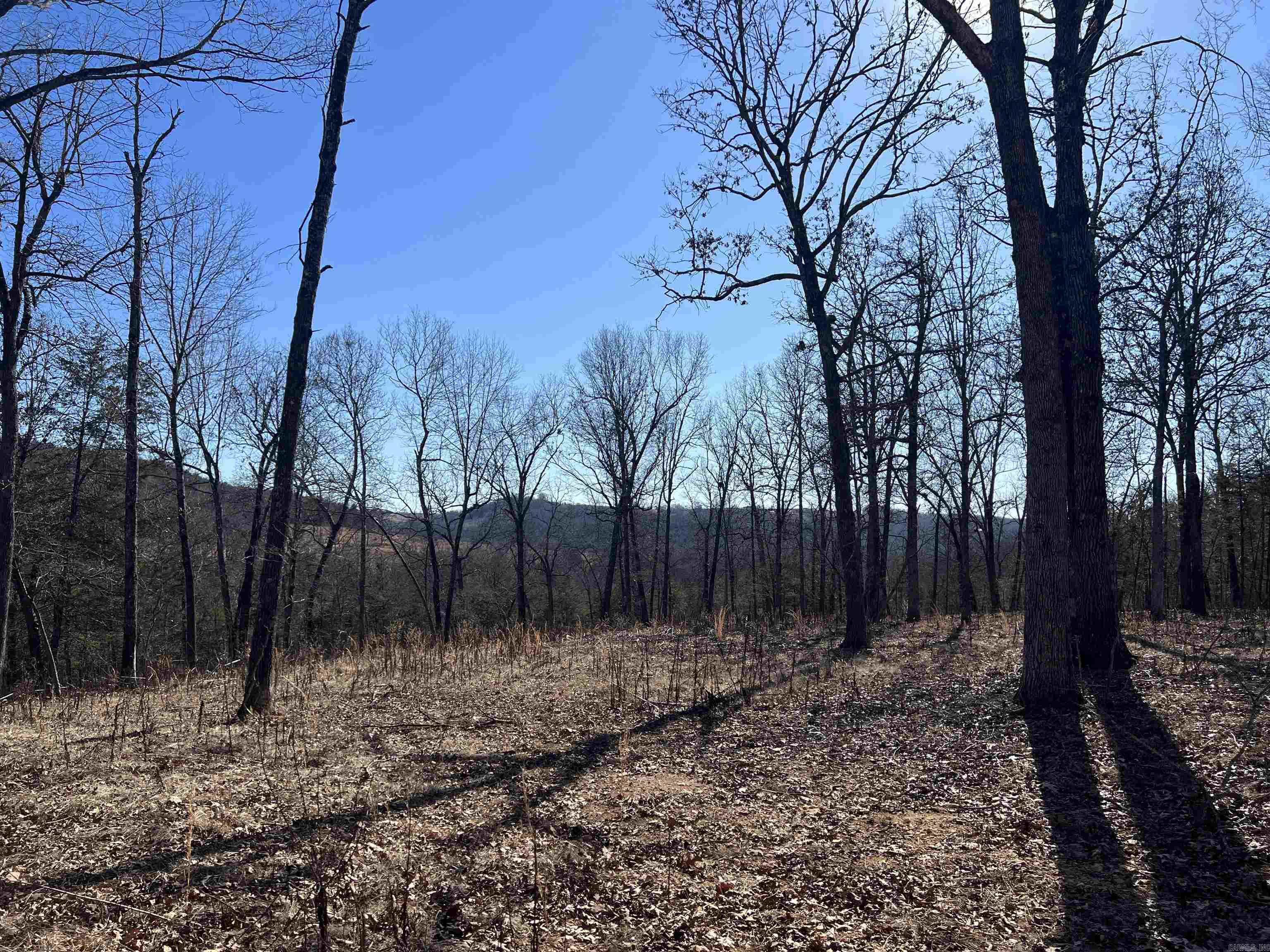 2216 Meadow Creek  Harrison, AR