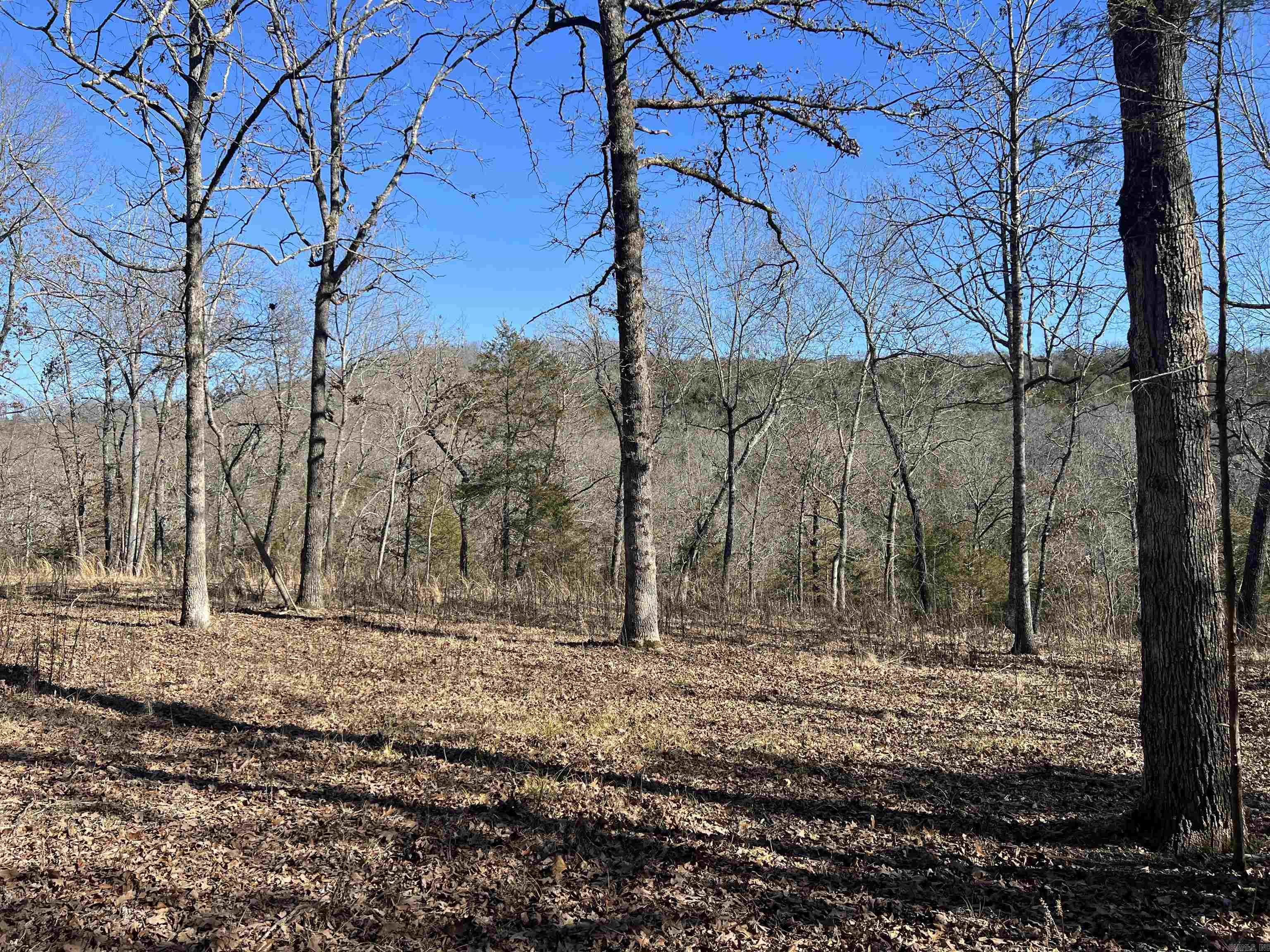 2216 Meadow Creek  Harrison, AR