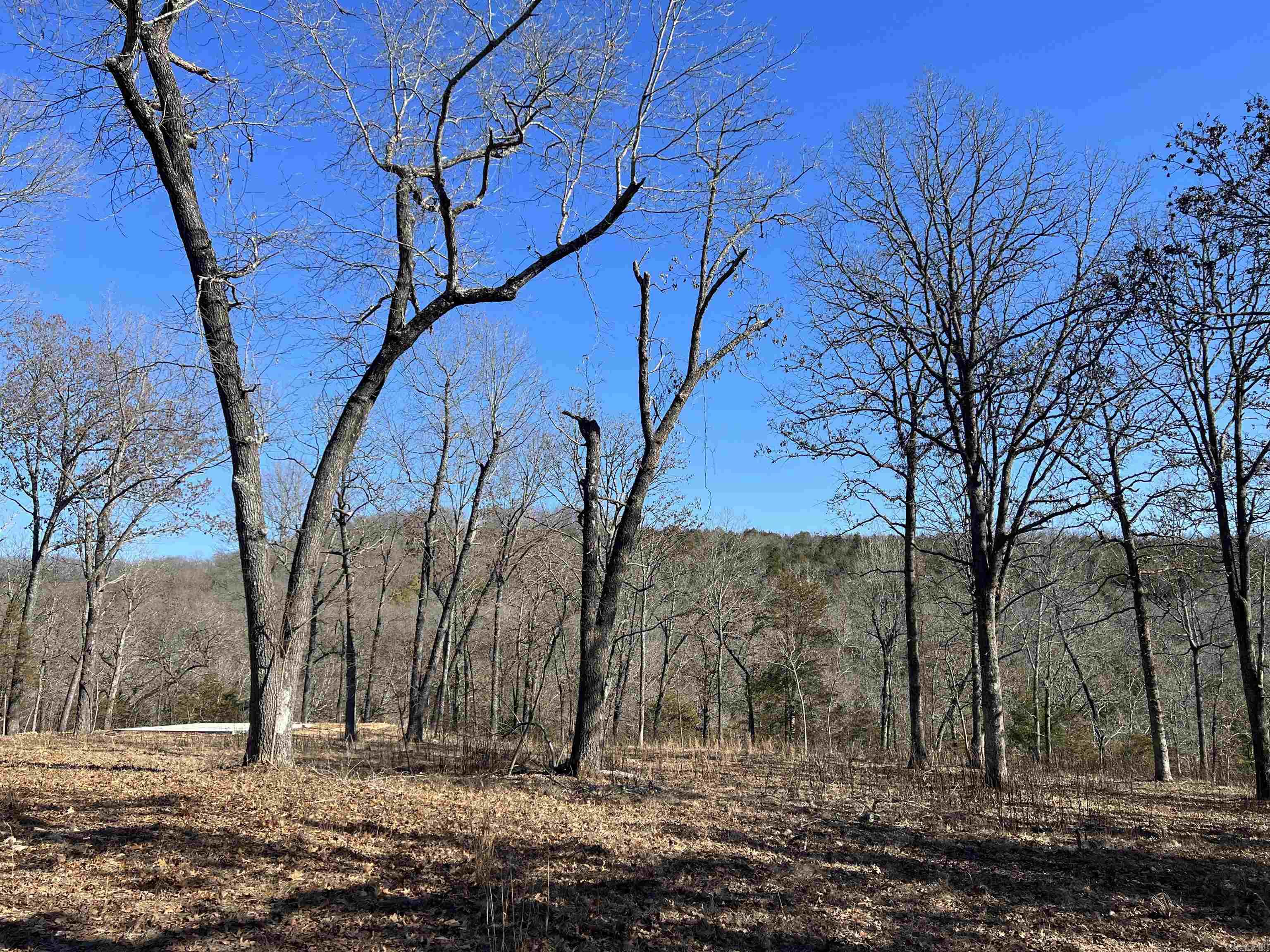 2216 Meadow Creek  Harrison, AR