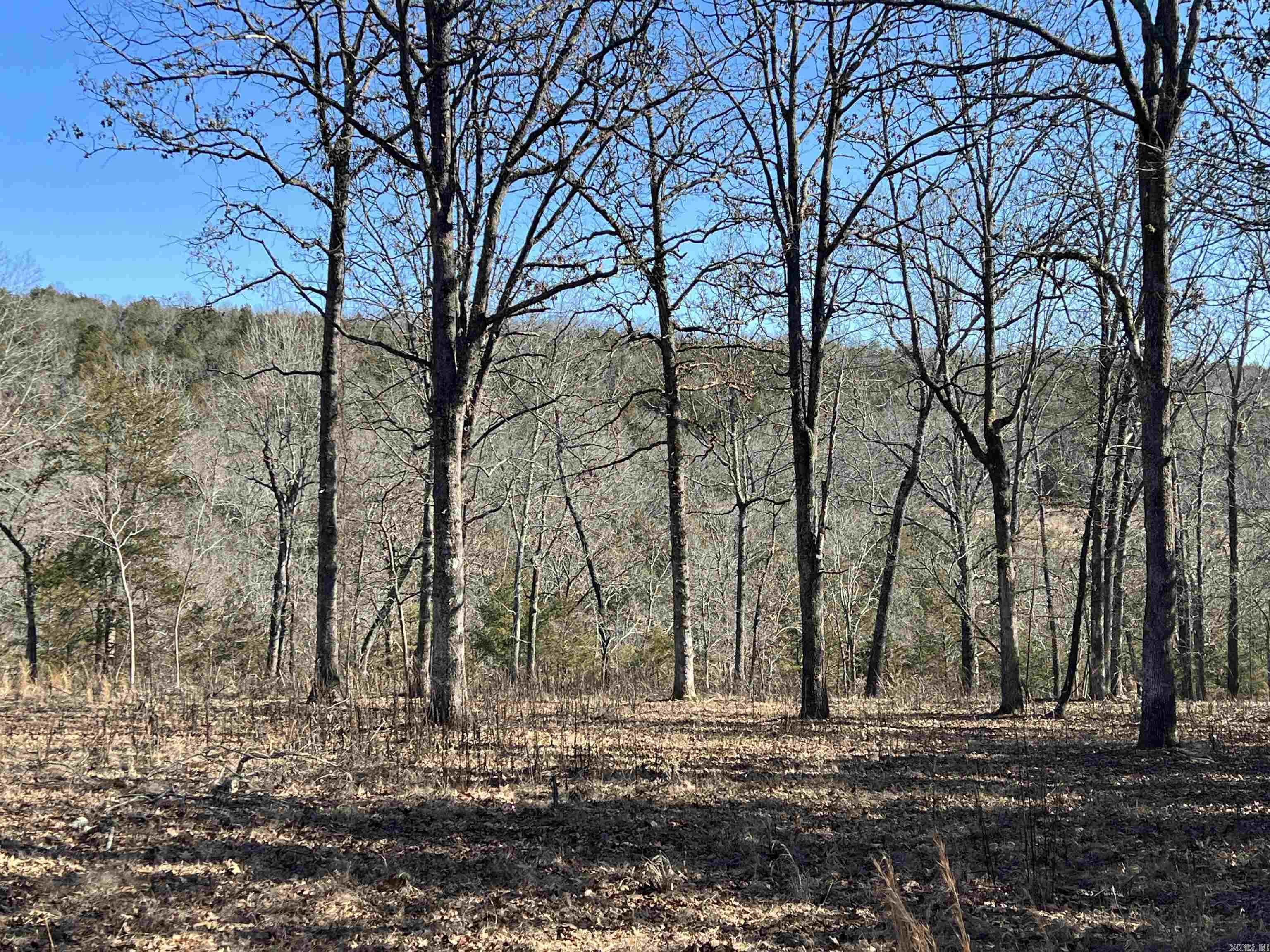 2216 Meadow Creek  Harrison, AR