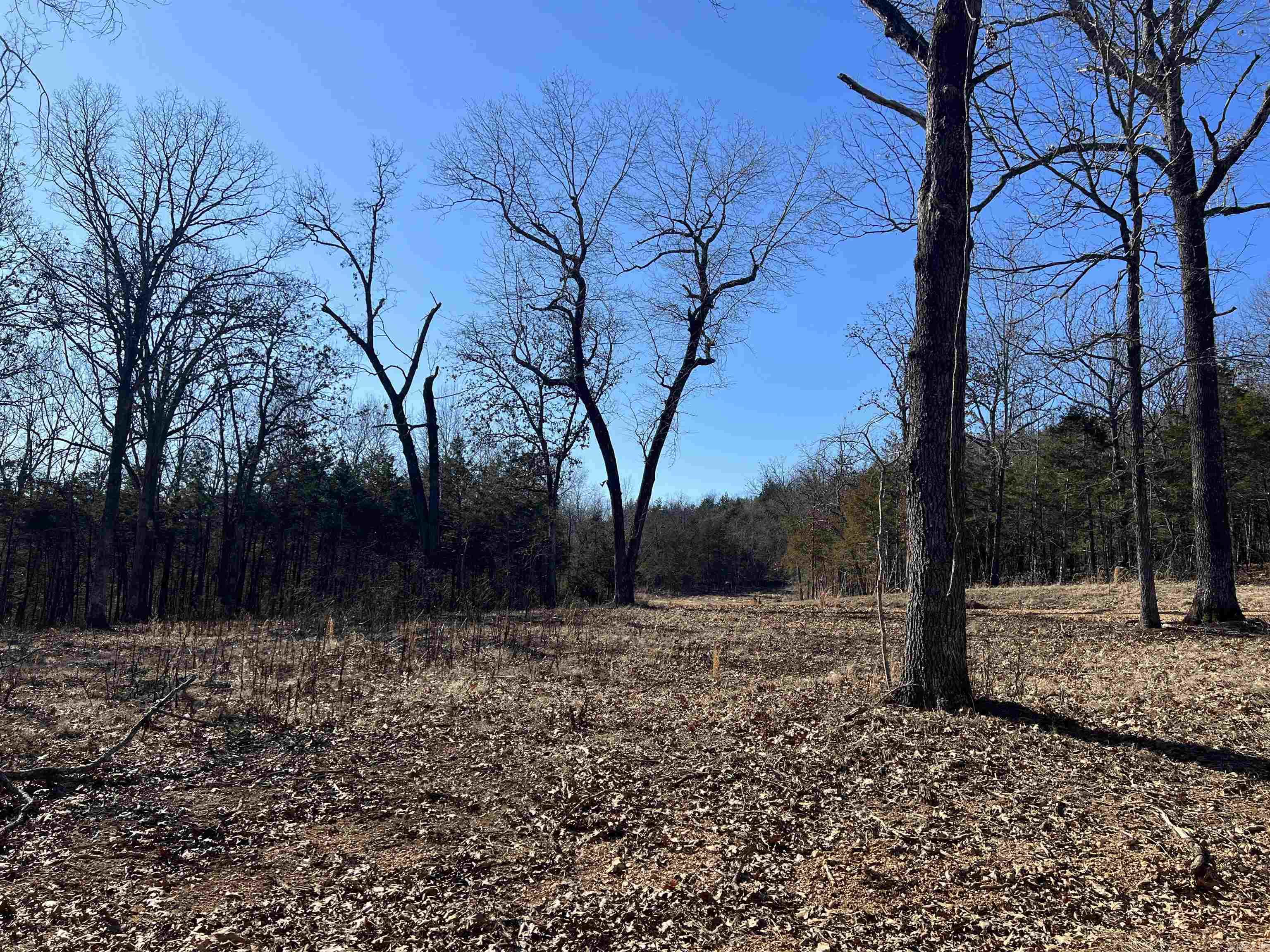 2216 Meadow Creek  Harrison, AR