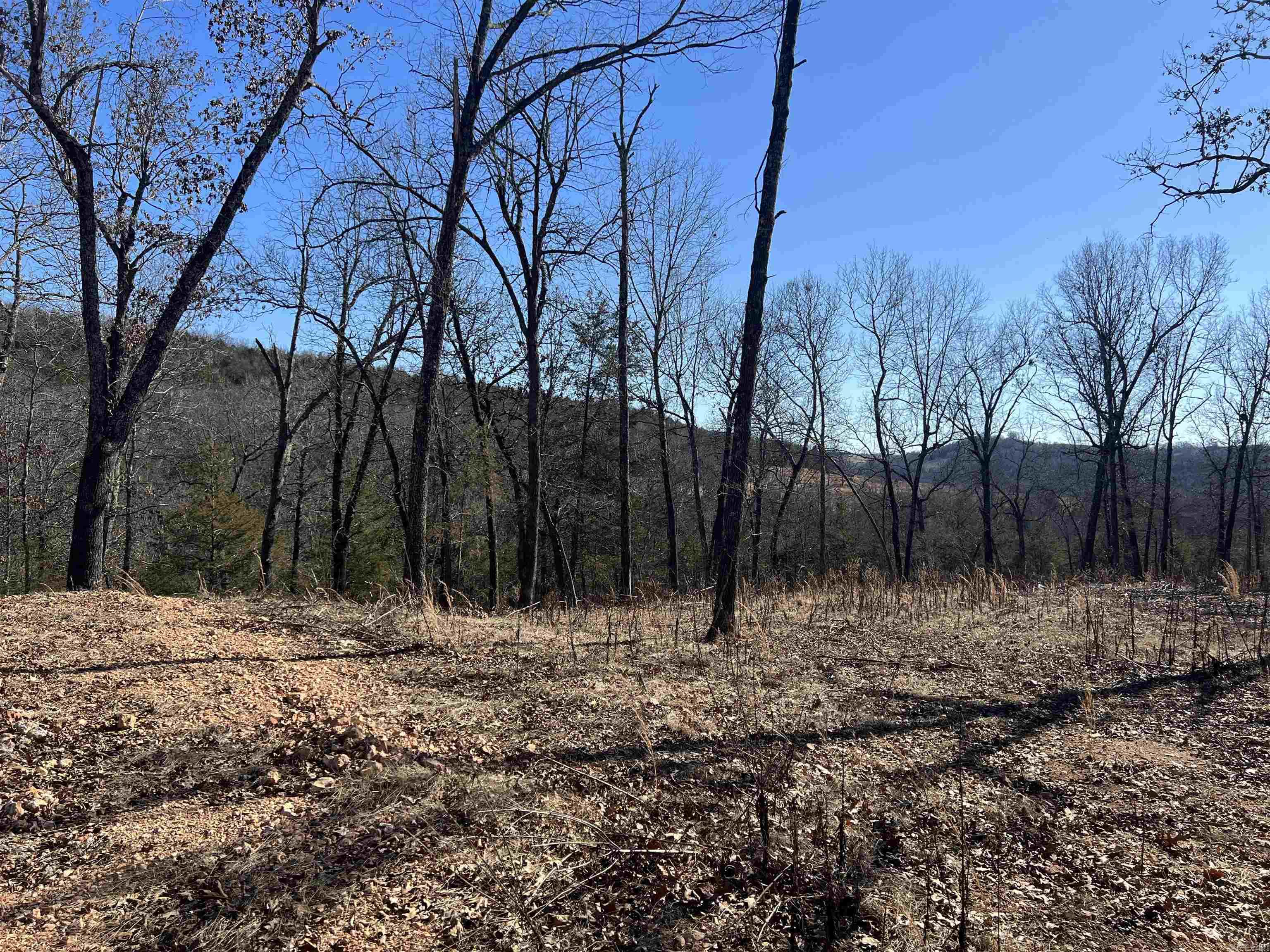 2216 Meadow Creek  Harrison, AR