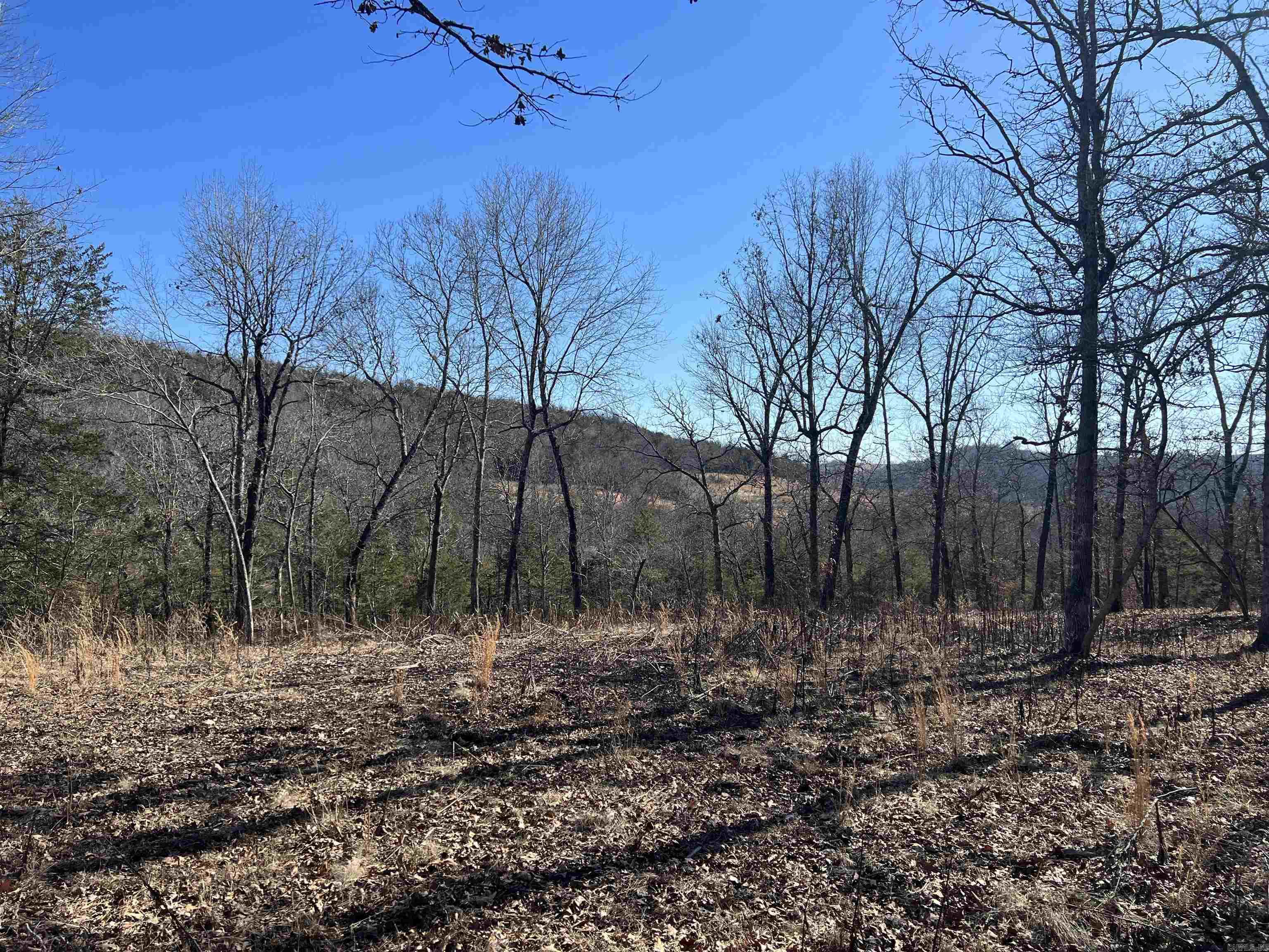 2216 Meadow Creek  Harrison, AR