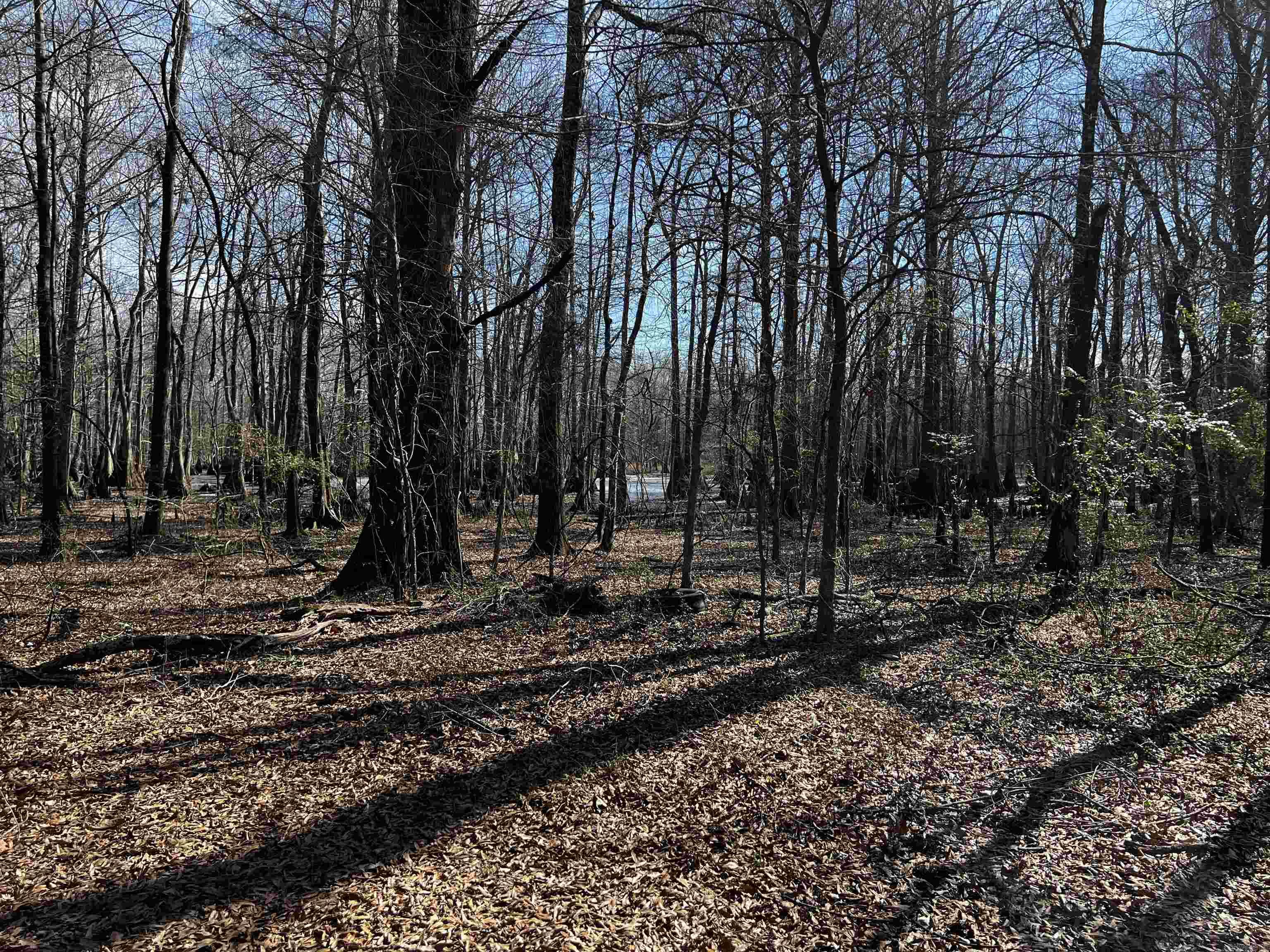 000 McClendon  North Little Rock, AR