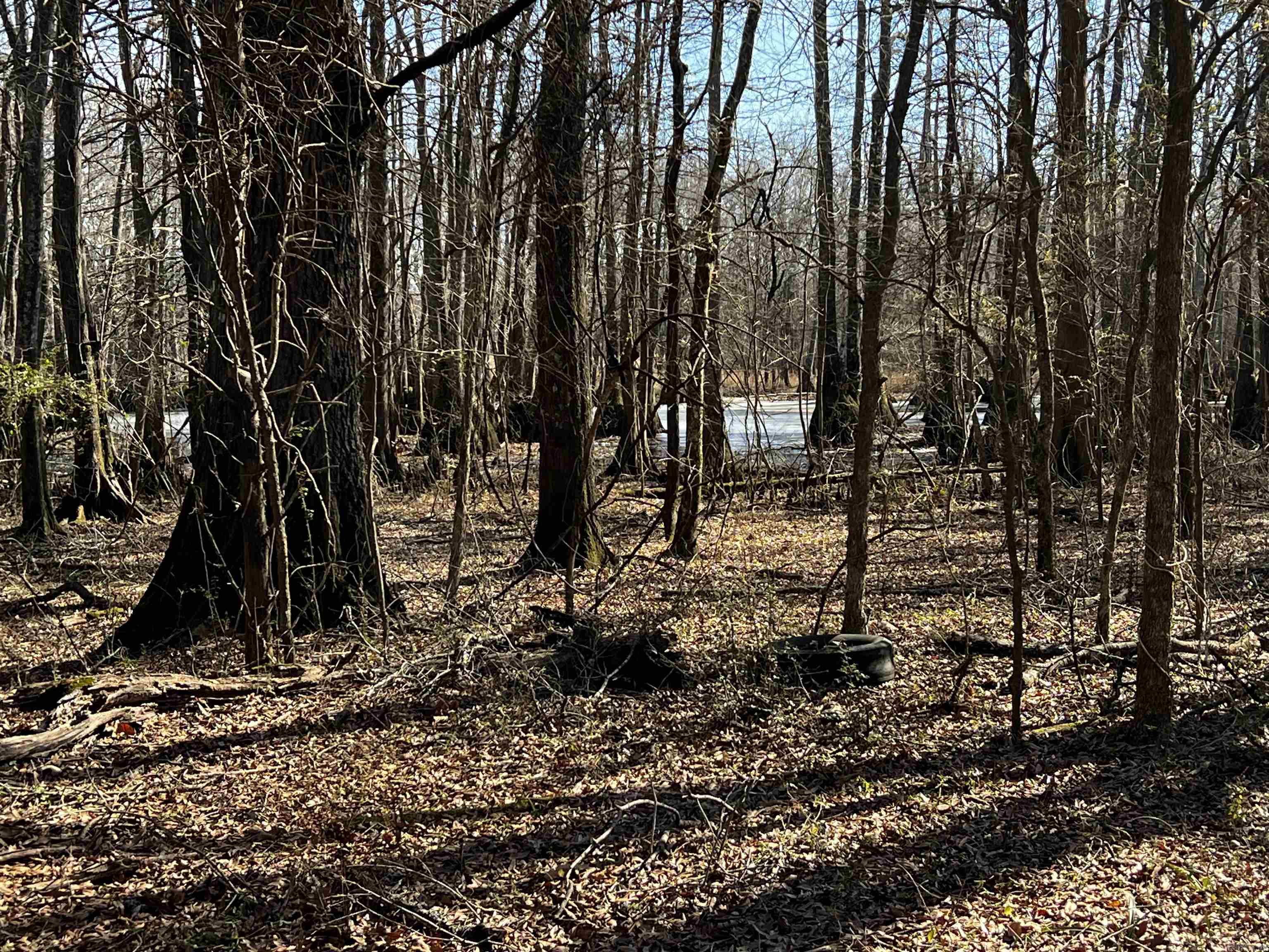 000 McClendon  North Little Rock, AR