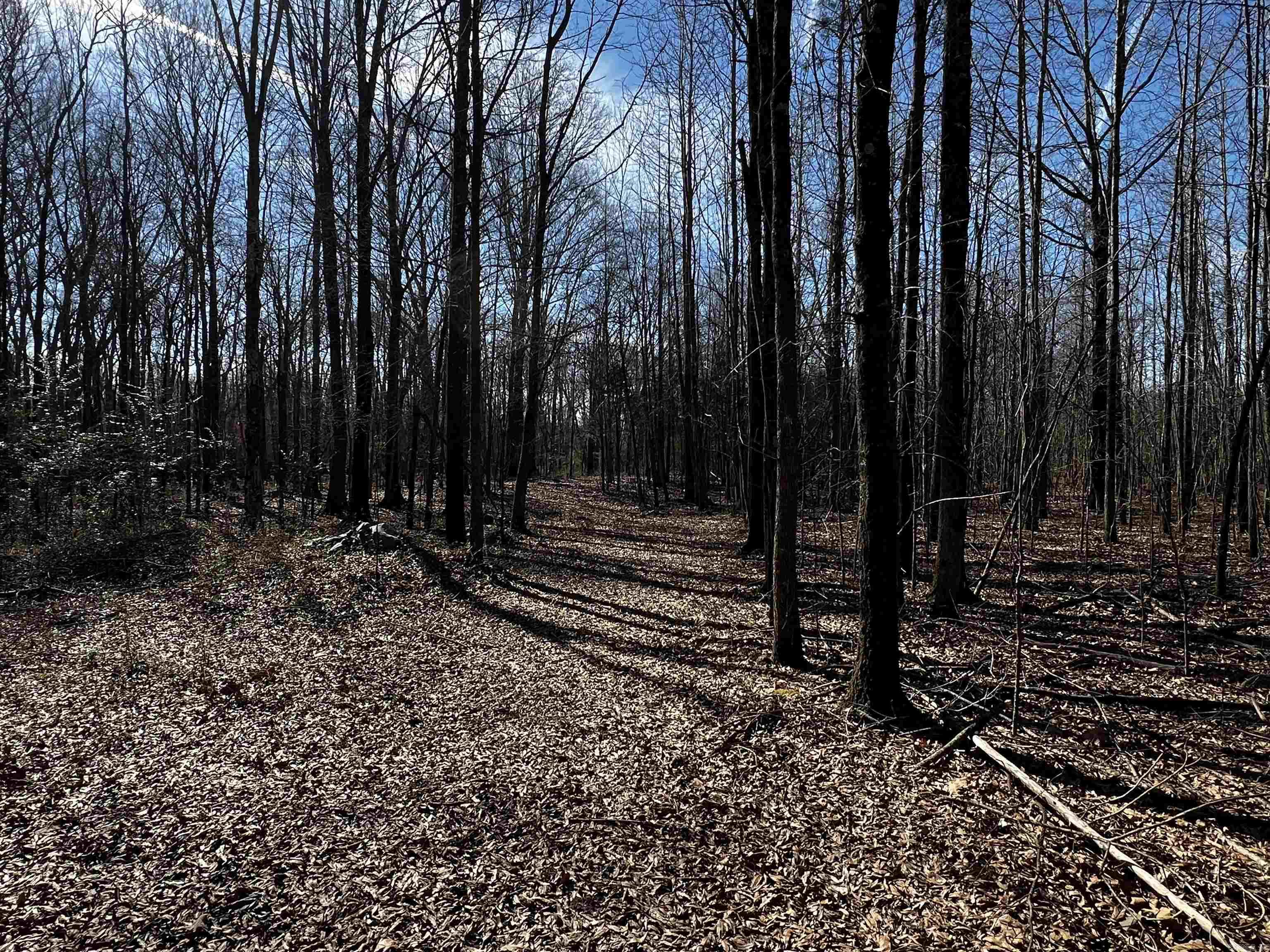 000 McClendon  North Little Rock, AR