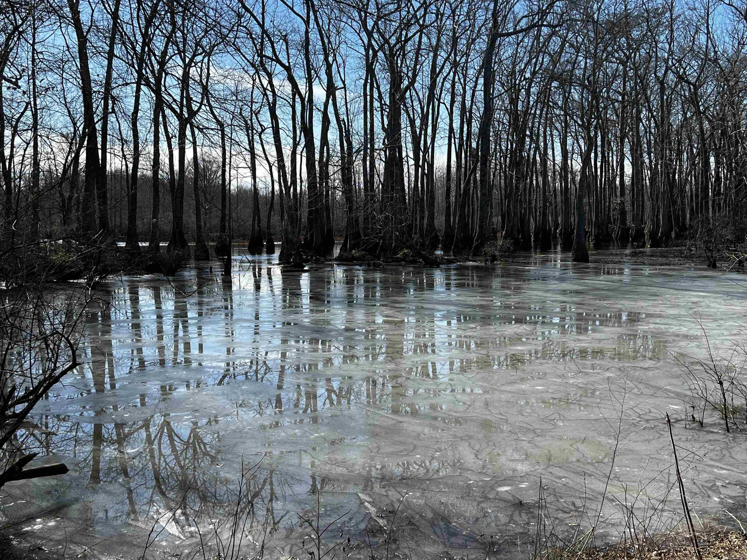 000 McClendon  North Little Rock, AR