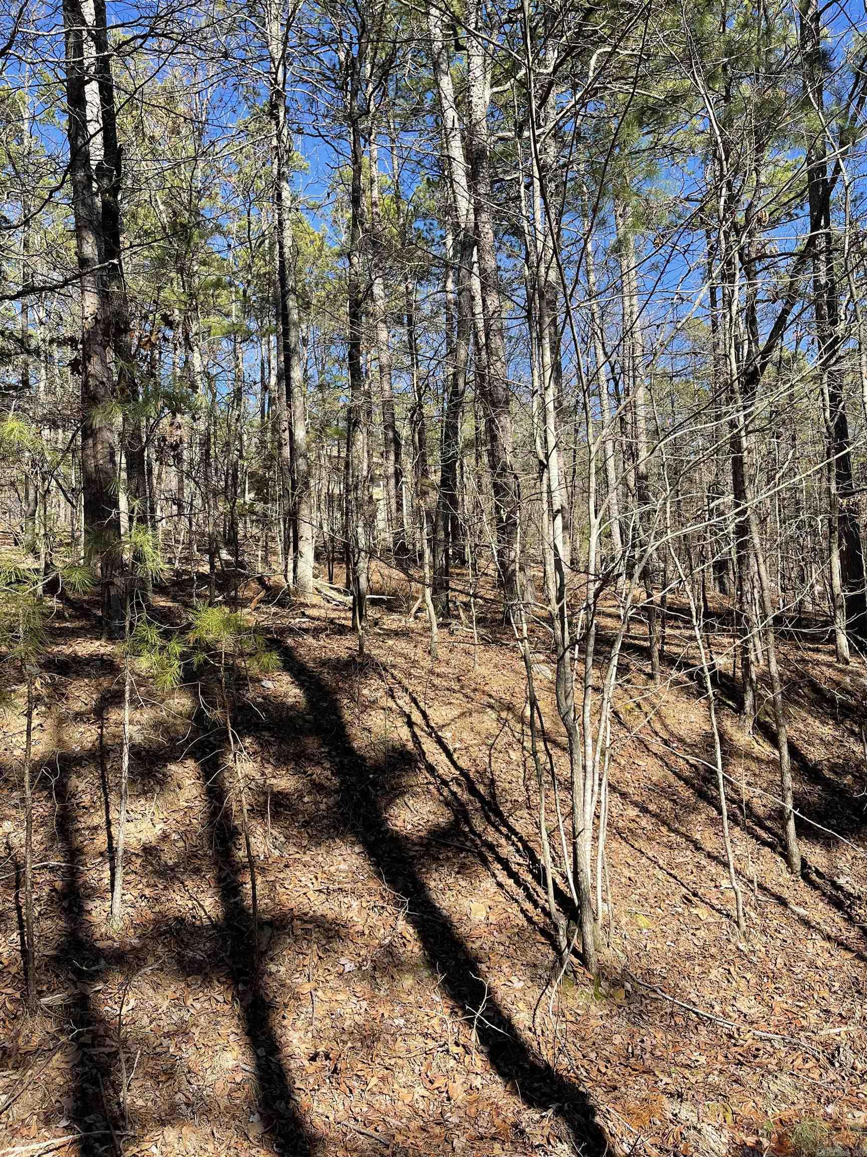 14 Cervera Way  Hot Springs Village, AR