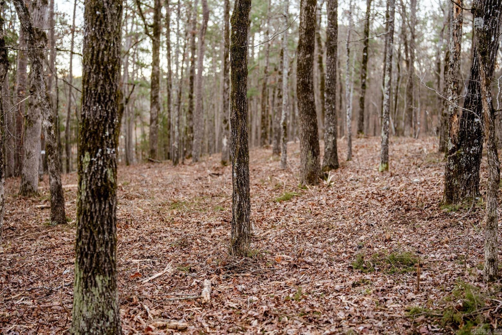 Lot 8 Vida Del Lago Subdivision  Greers Ferry, AR