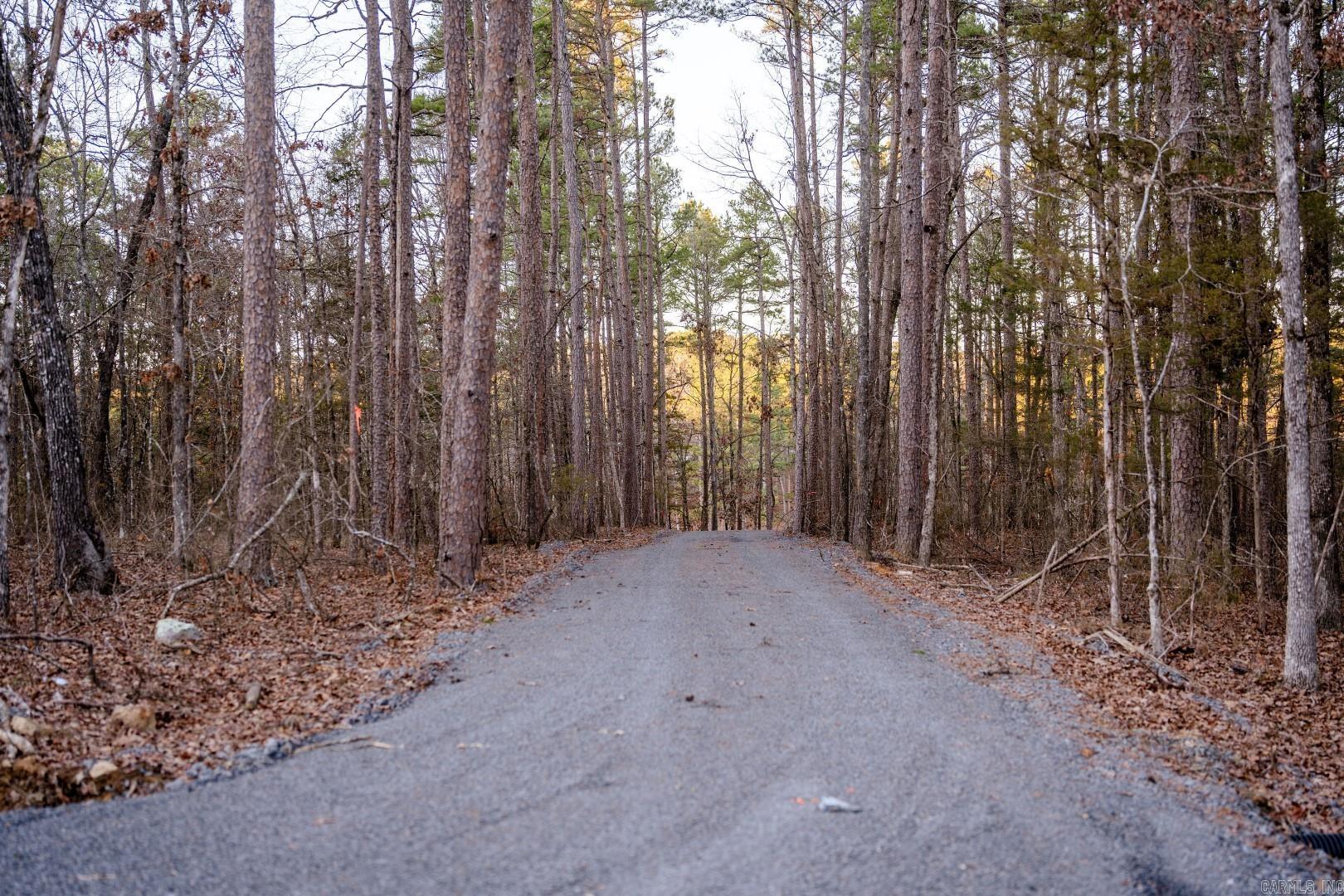 Lot 8 Vida Del Lago Subdivision  Greers Ferry, AR