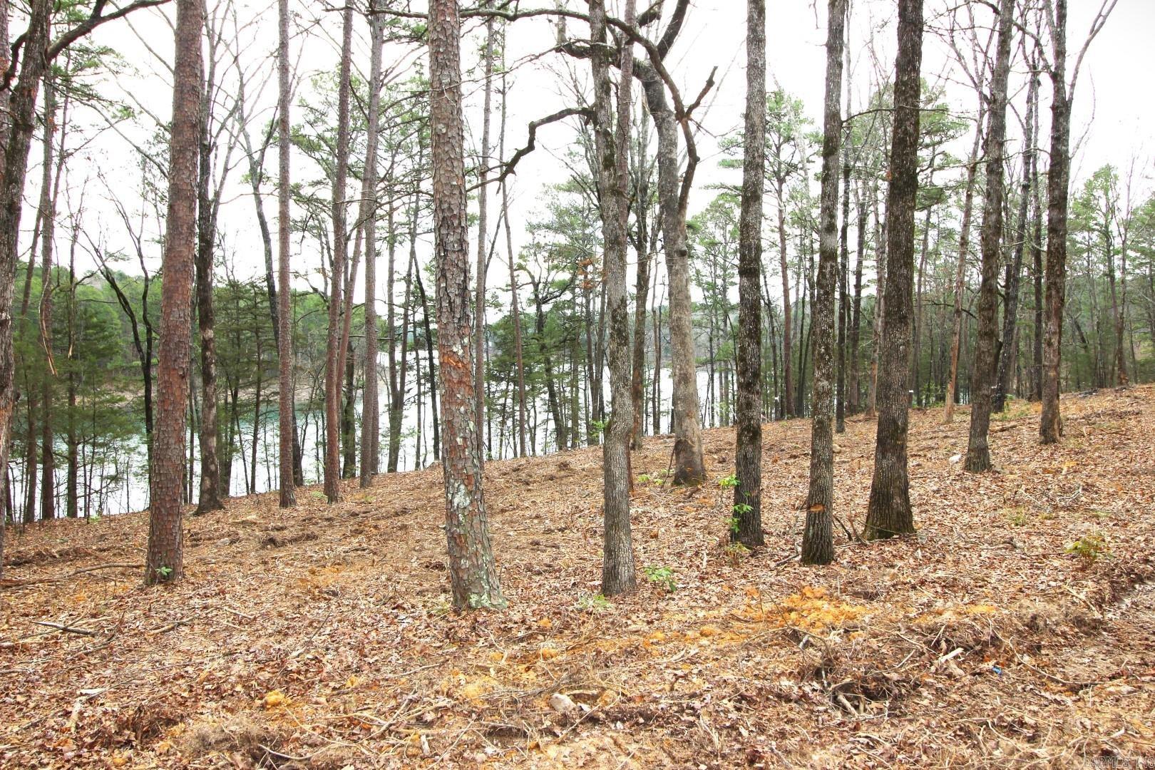 Lot 8 Vida Del Lago Subdivision  Greers Ferry, AR