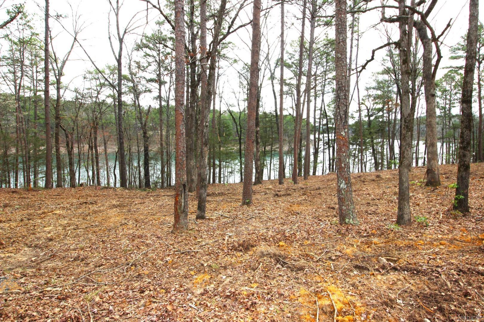 Lot 8 Vida Del Lago Subdivision  Greers Ferry, AR