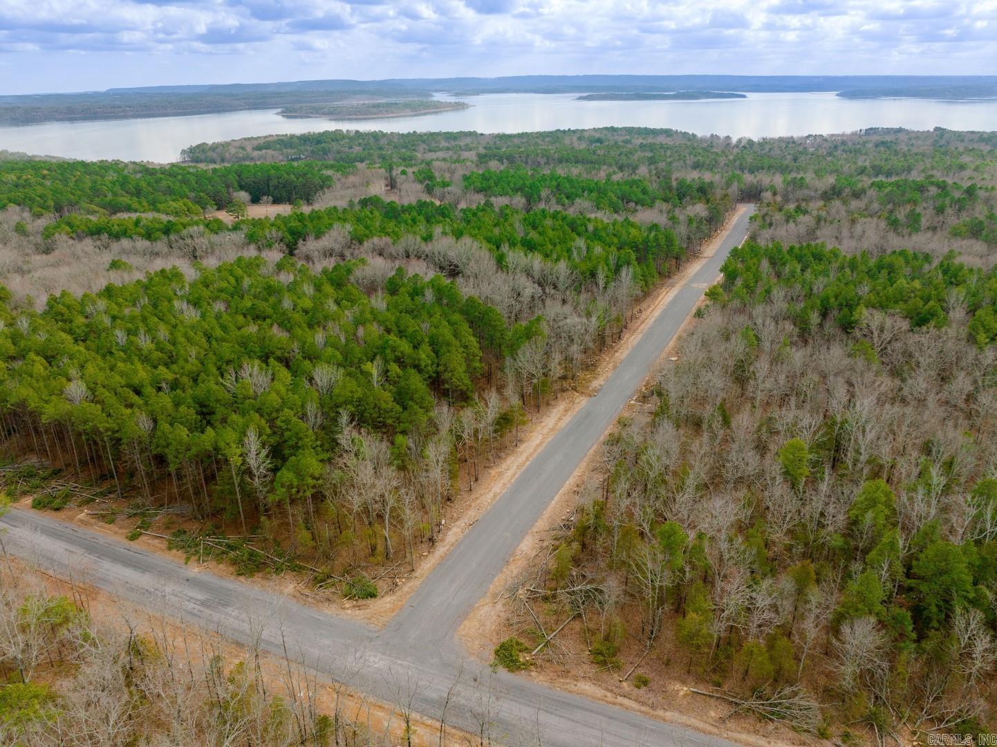 Lot 20 Vida Del Lago Subdivision  Greers Ferry, AR