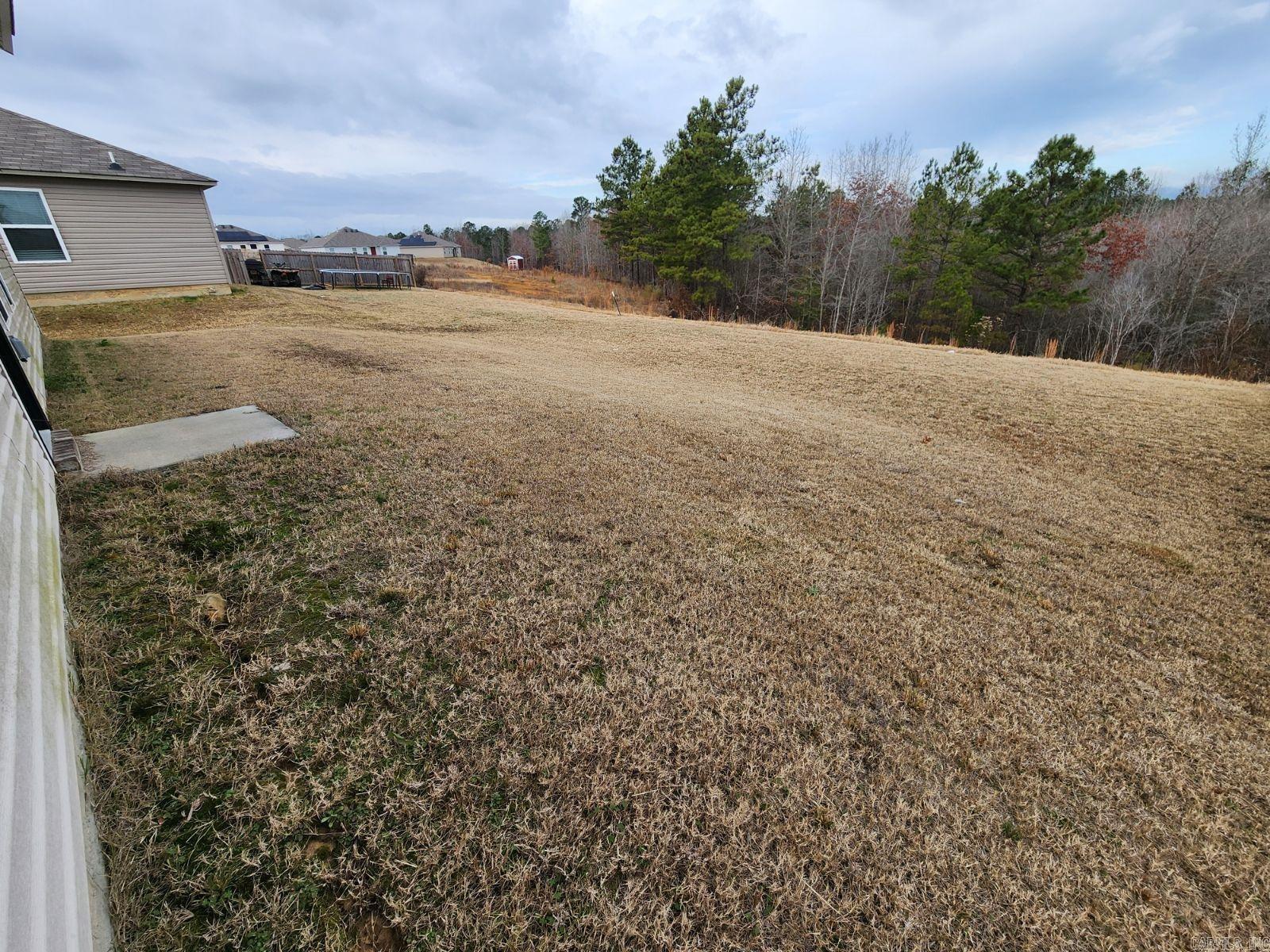 2040 River Birch  Bauxite, AR