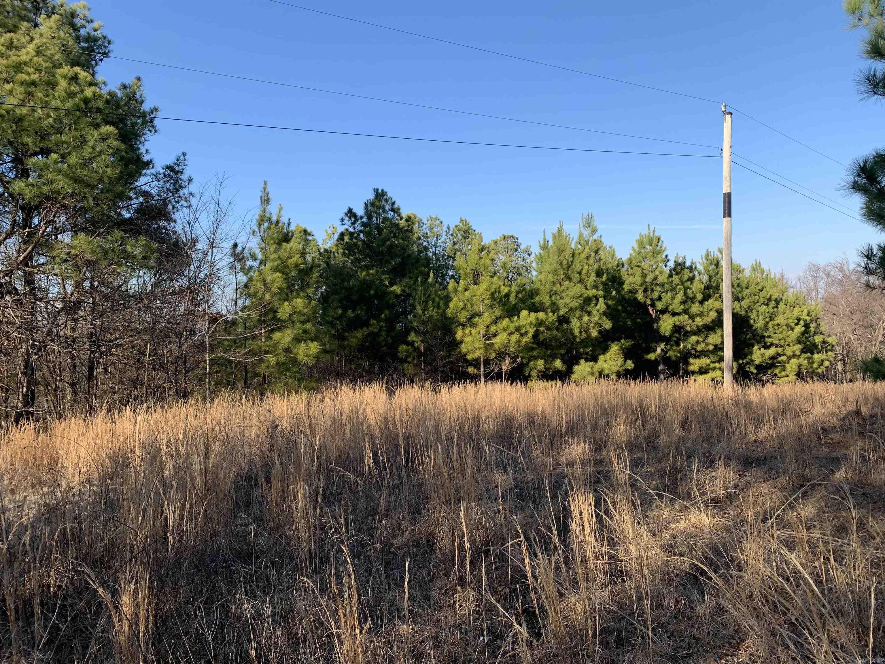 2 CR 449  Pollard, AR