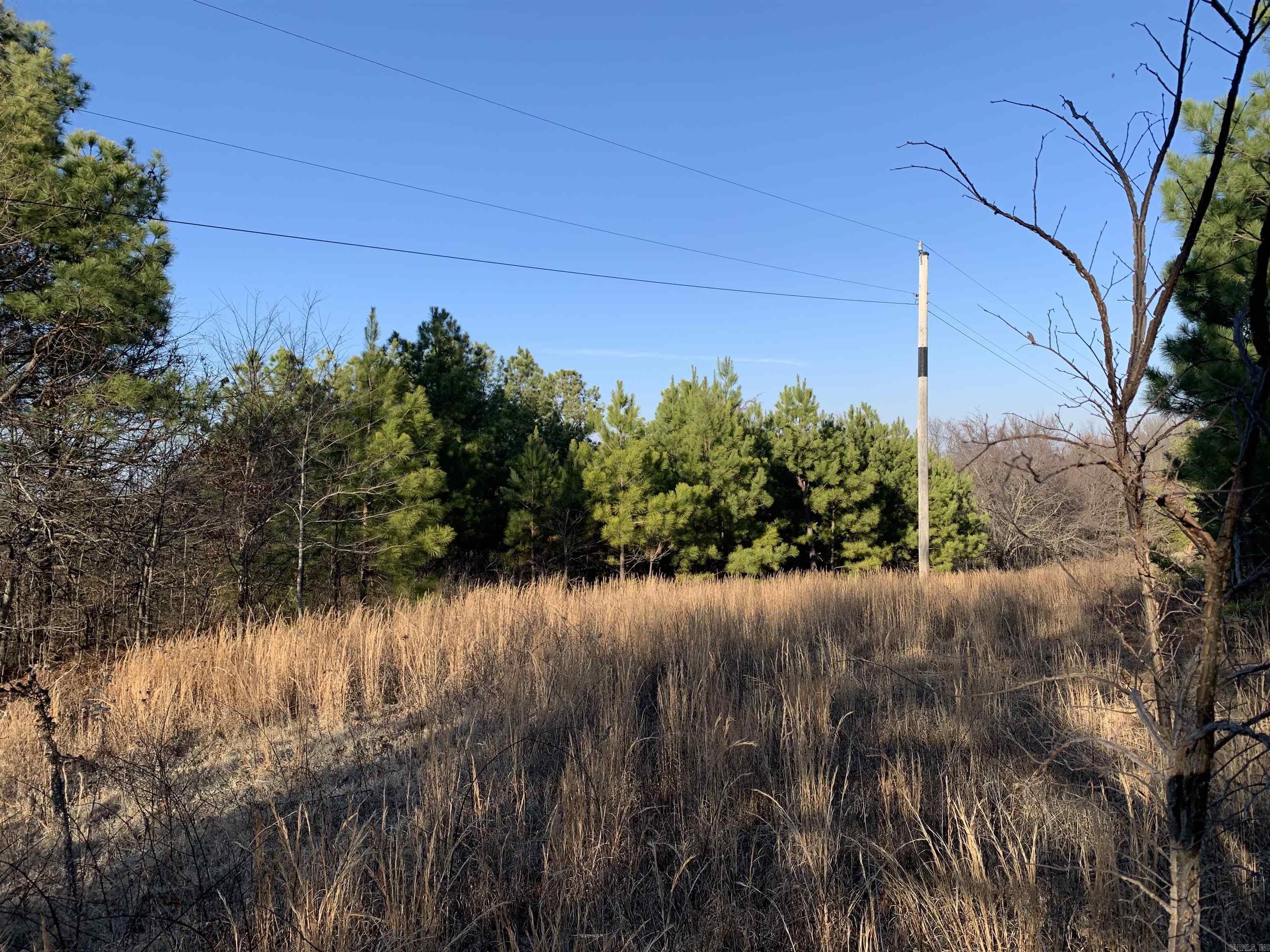 2 CR 449  Pollard, AR