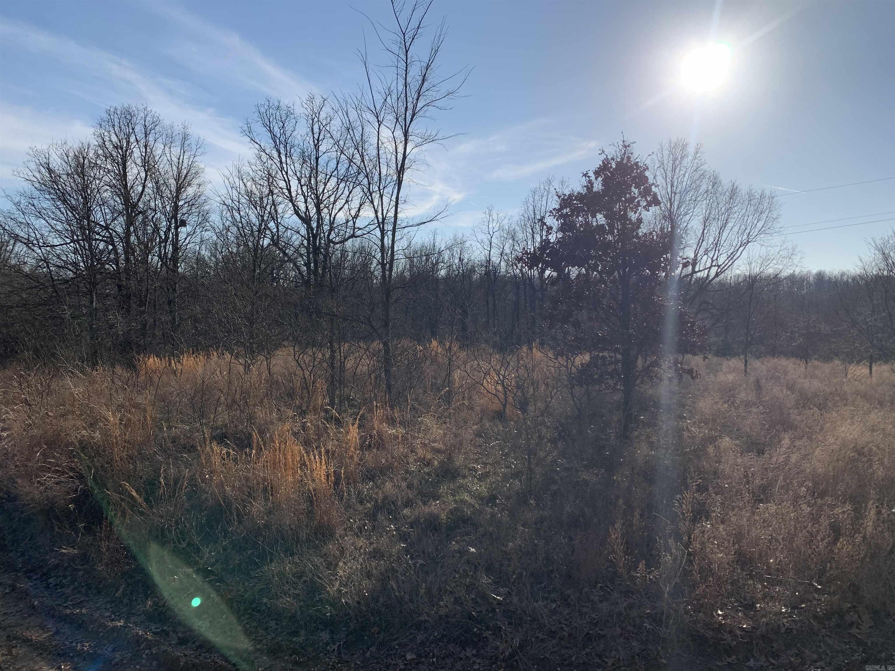 2 CR 449  Pollard, AR