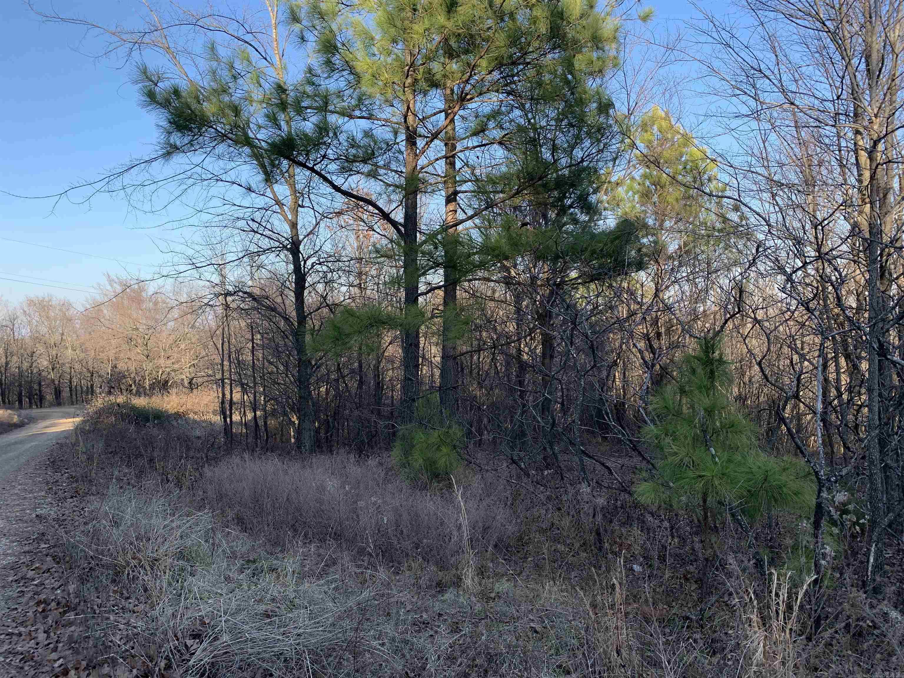 2 CR 449  Pollard, AR