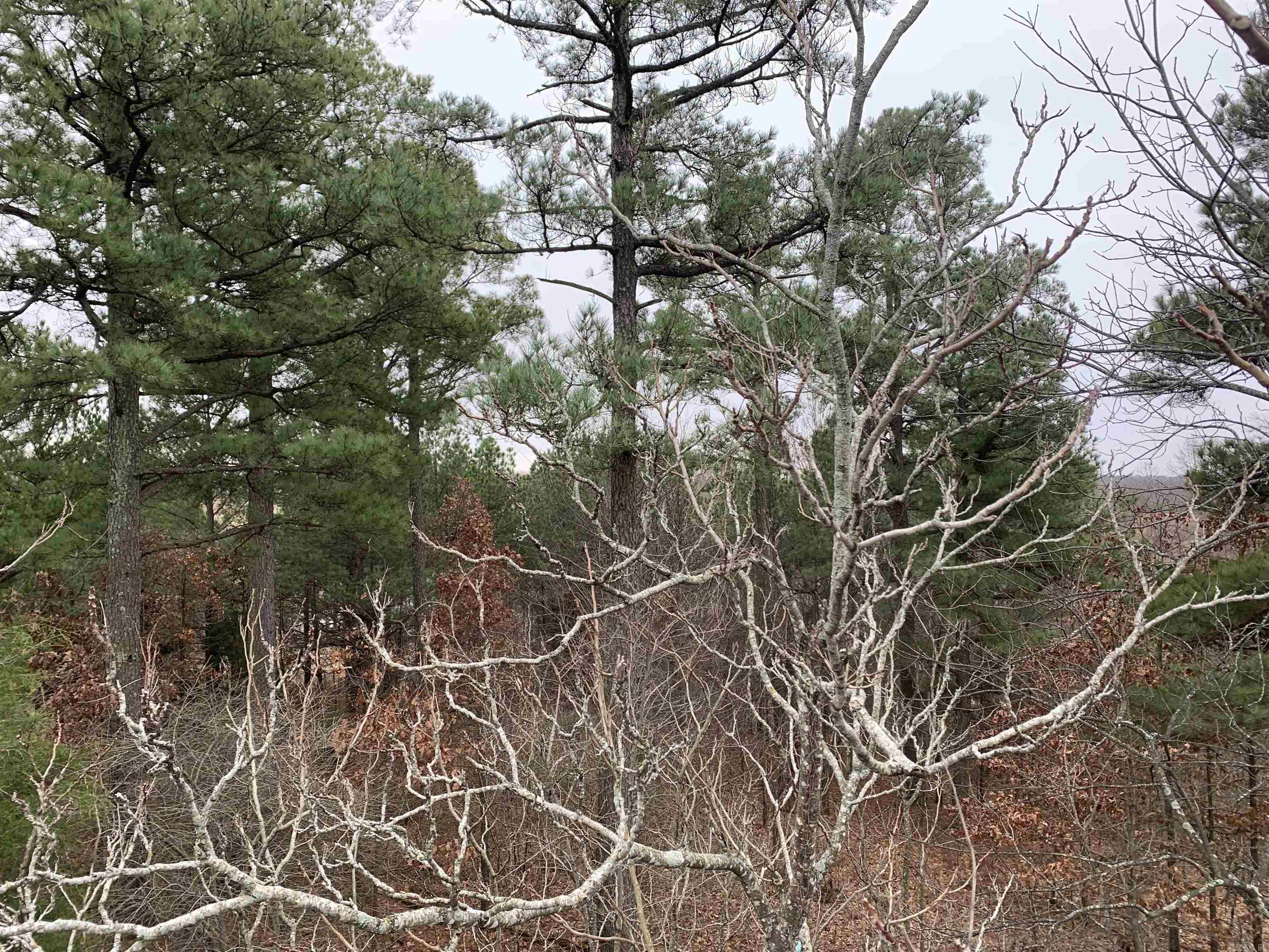 2 CR 449  Pollard, AR