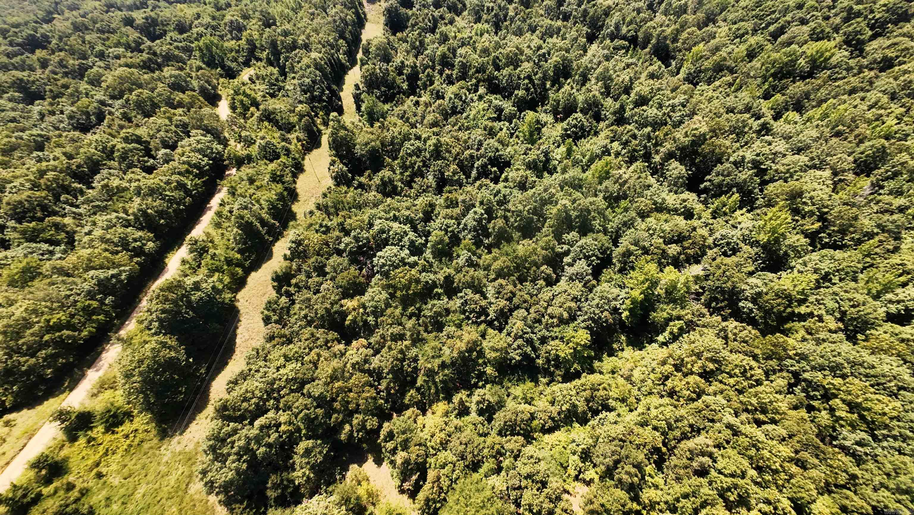 2 CR 449  Pollard, AR