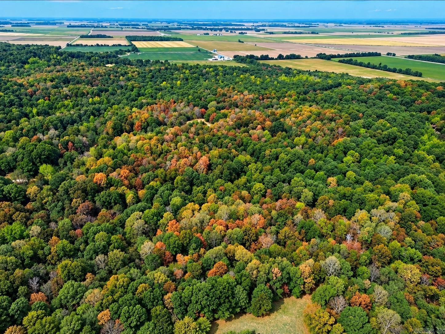 2 CR 449  Pollard, AR
