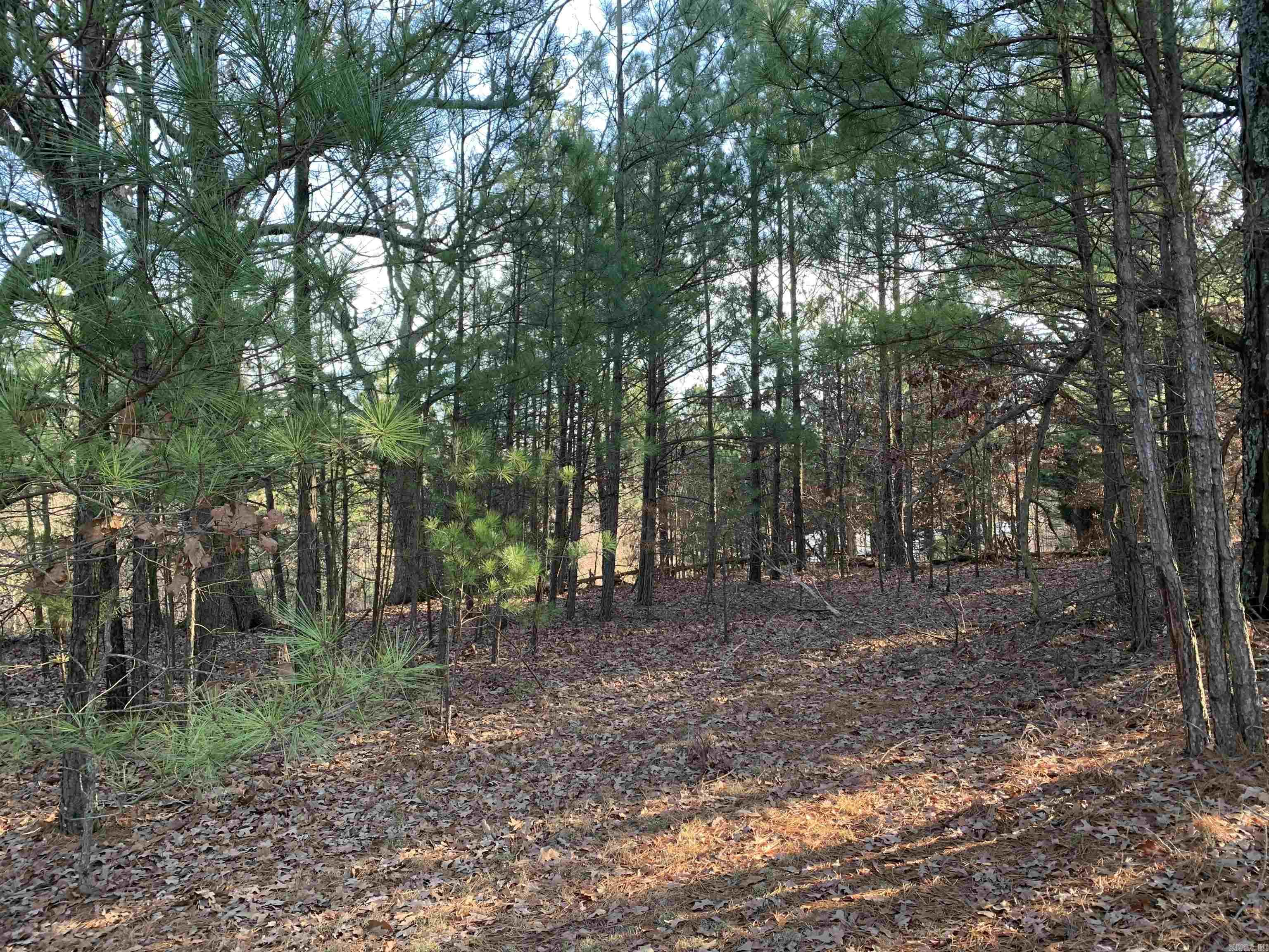 2 CR 449  Pollard, AR