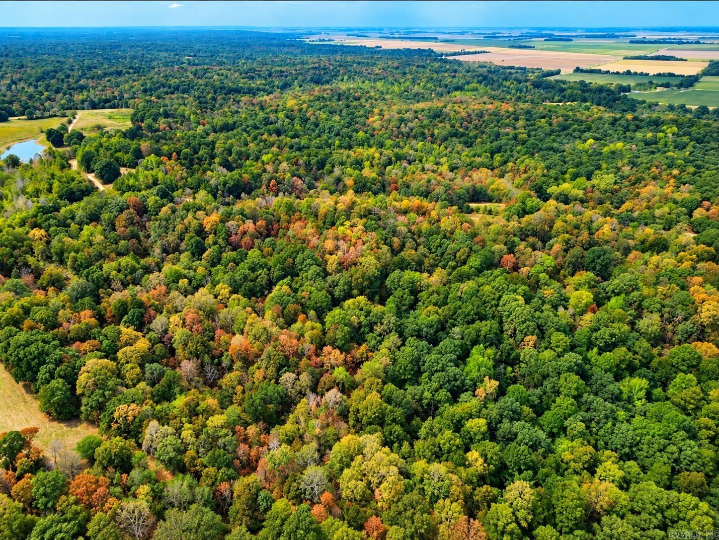 2 CR 449  Pollard, AR