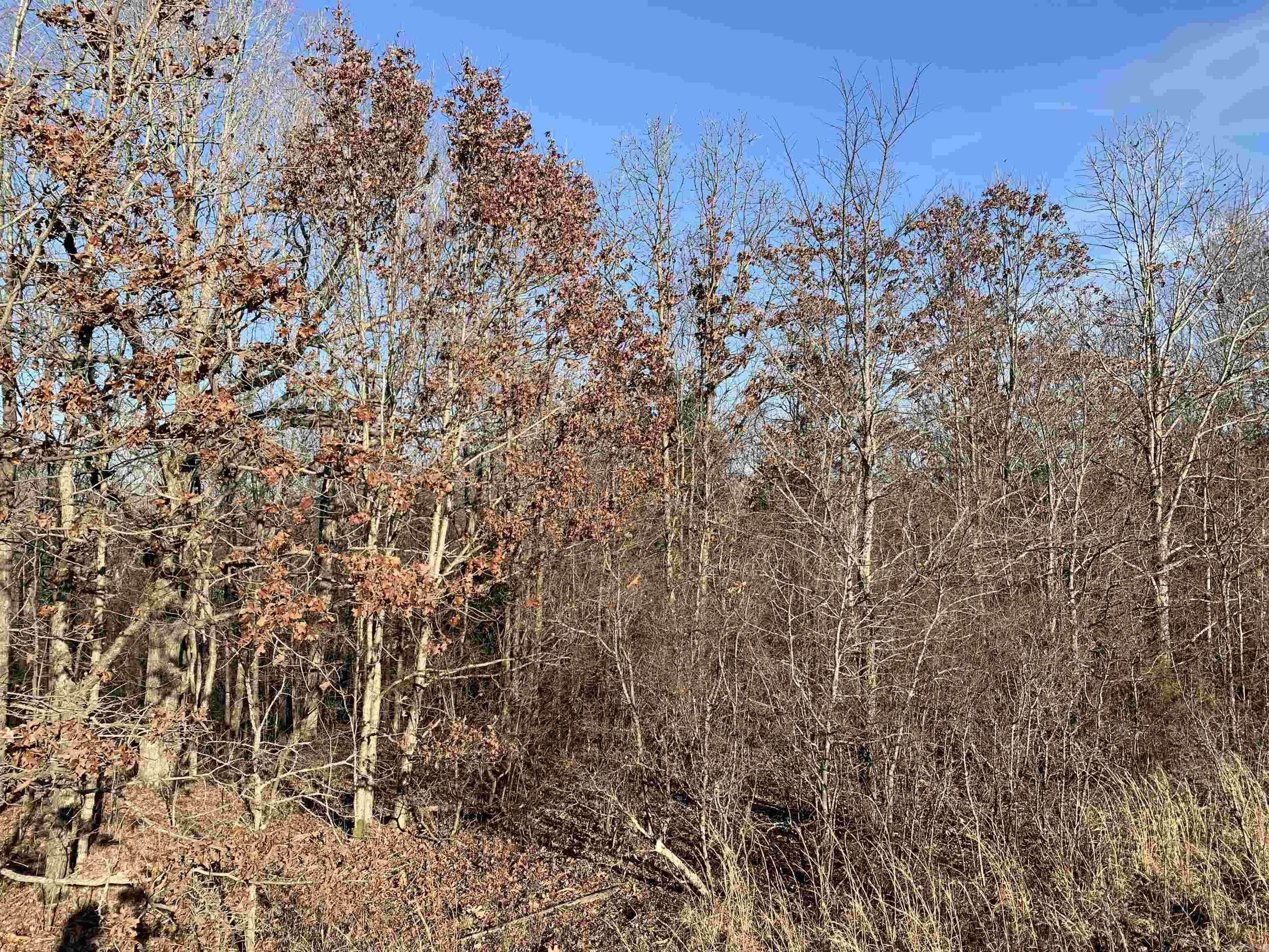 2 CR 449  Pollard, AR