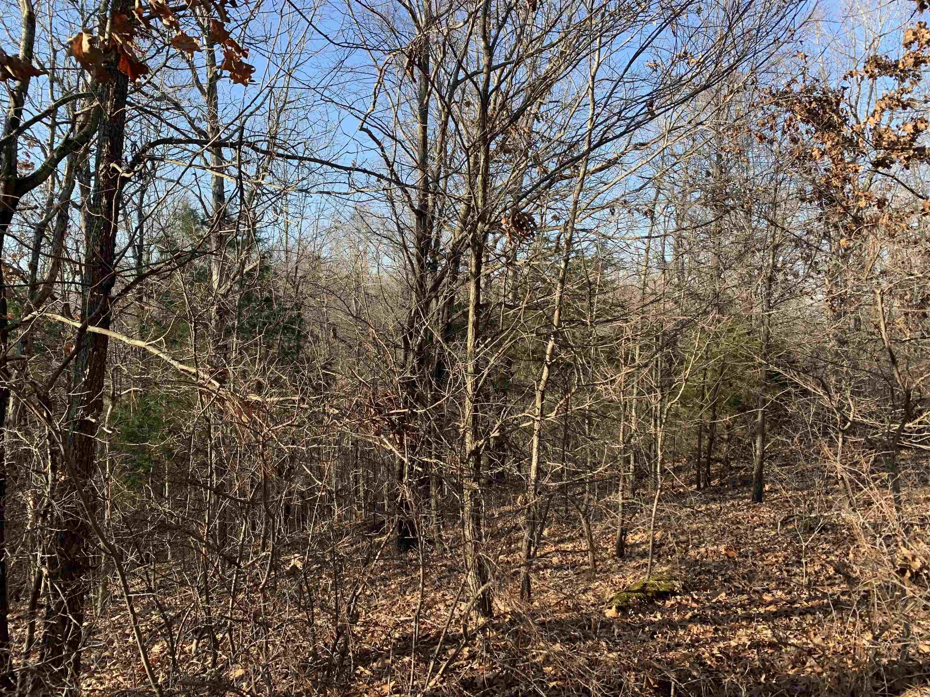 2 CR 449  Pollard, AR