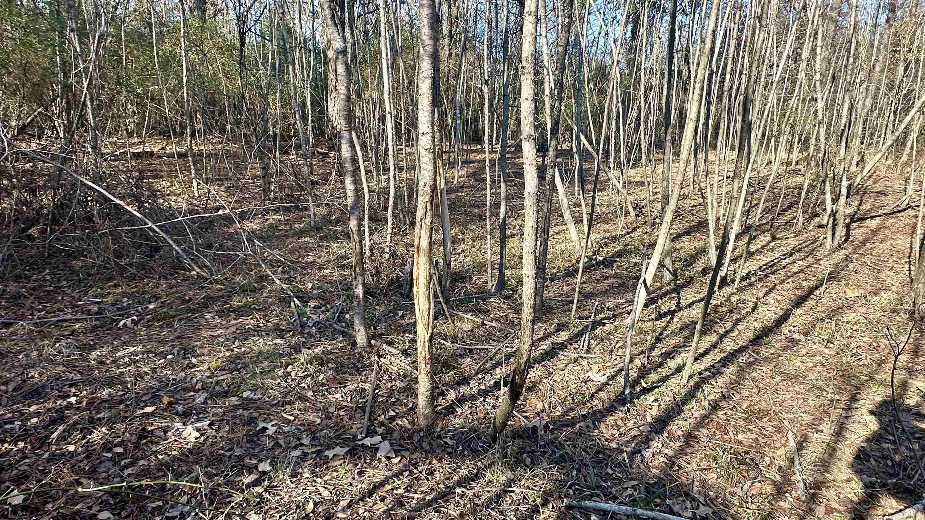 000 E. 38th Ave.  Pine Bluff, AR