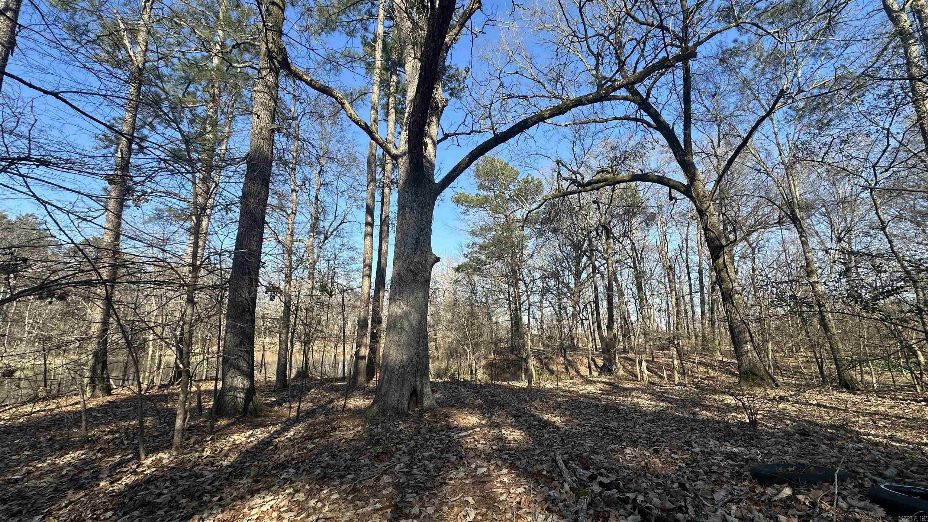 000 E. 38th Ave.  Pine Bluff, AR