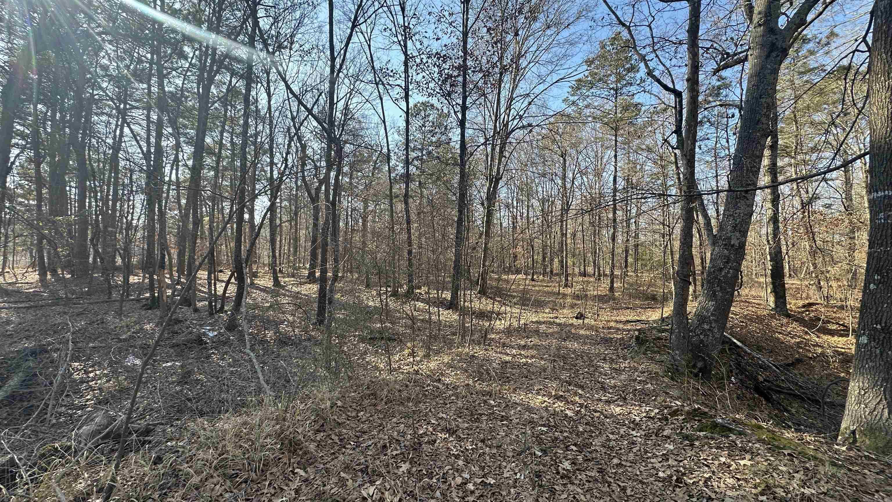 000 E. 38th Ave.  Pine Bluff, AR