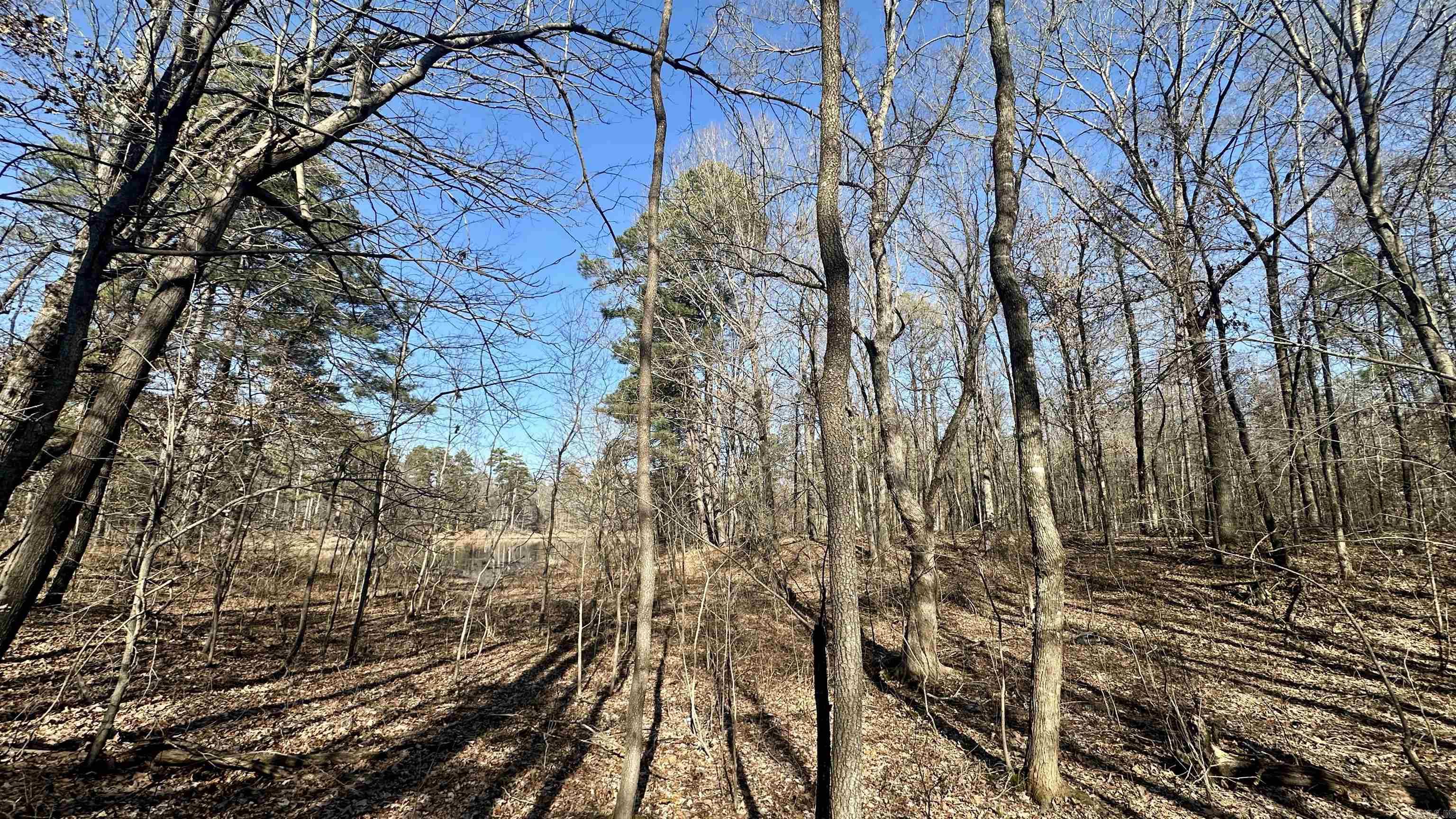 000 E. 38th Ave.  Pine Bluff, AR