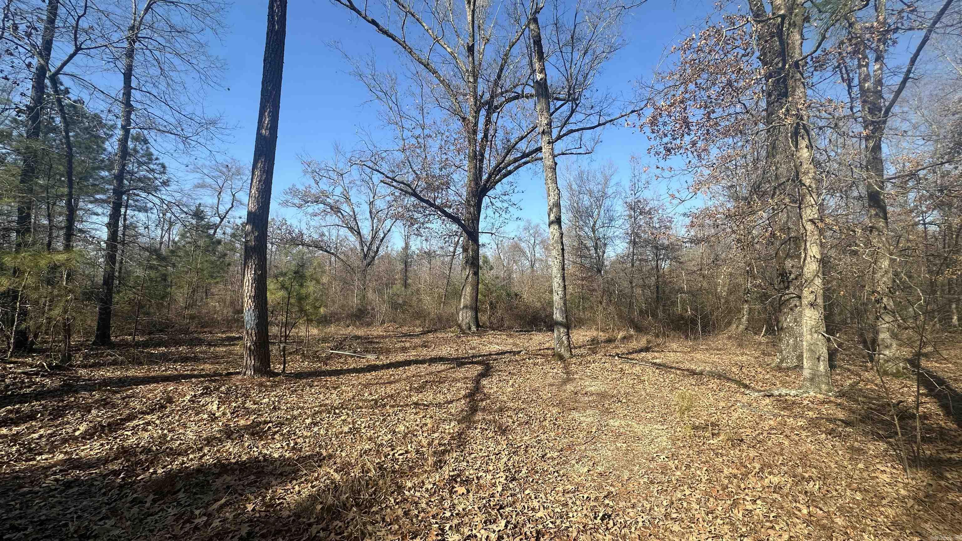 000 E. 38th Ave.  Pine Bluff, AR