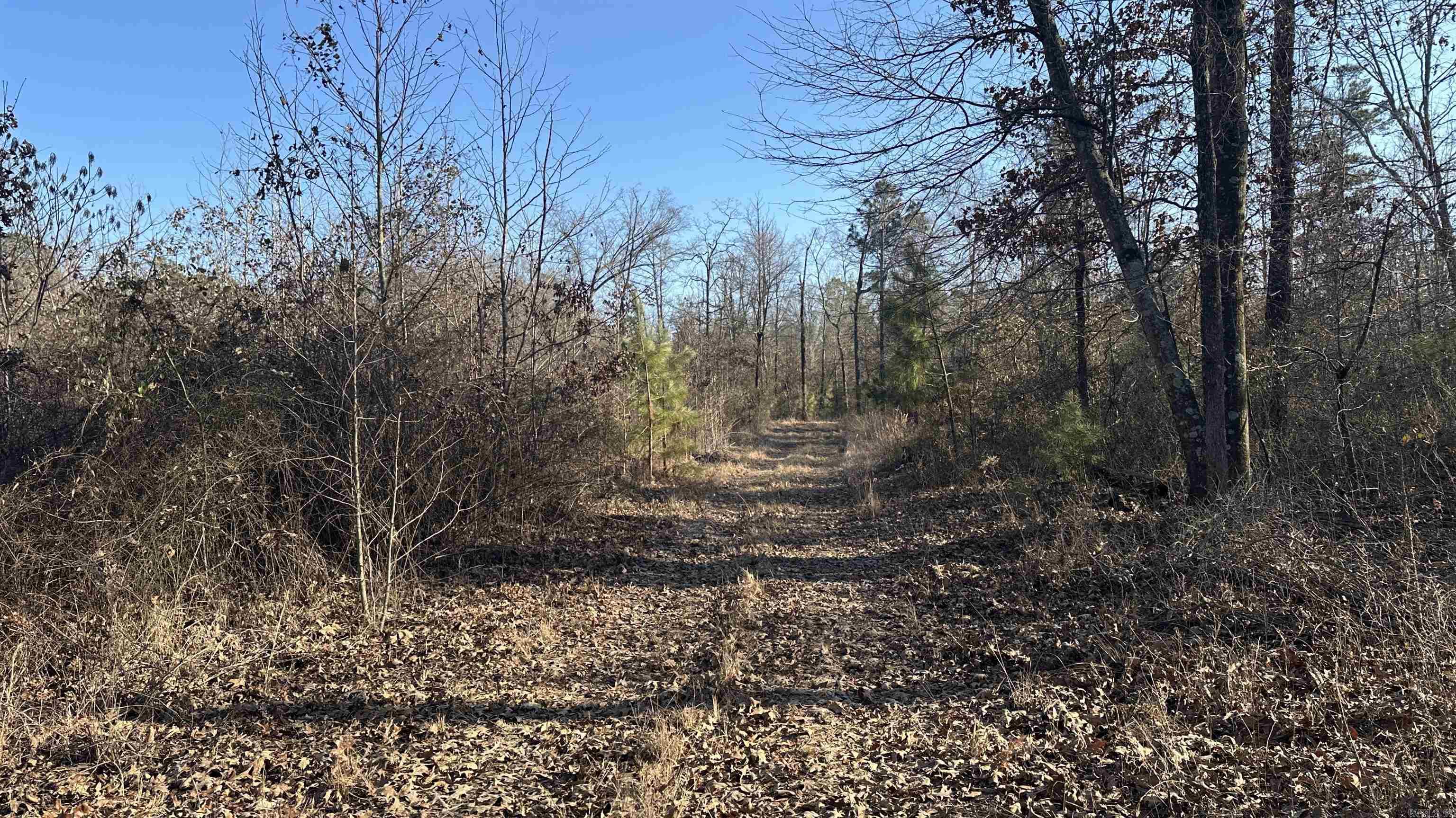 000 E. 38th Ave.  Pine Bluff, AR