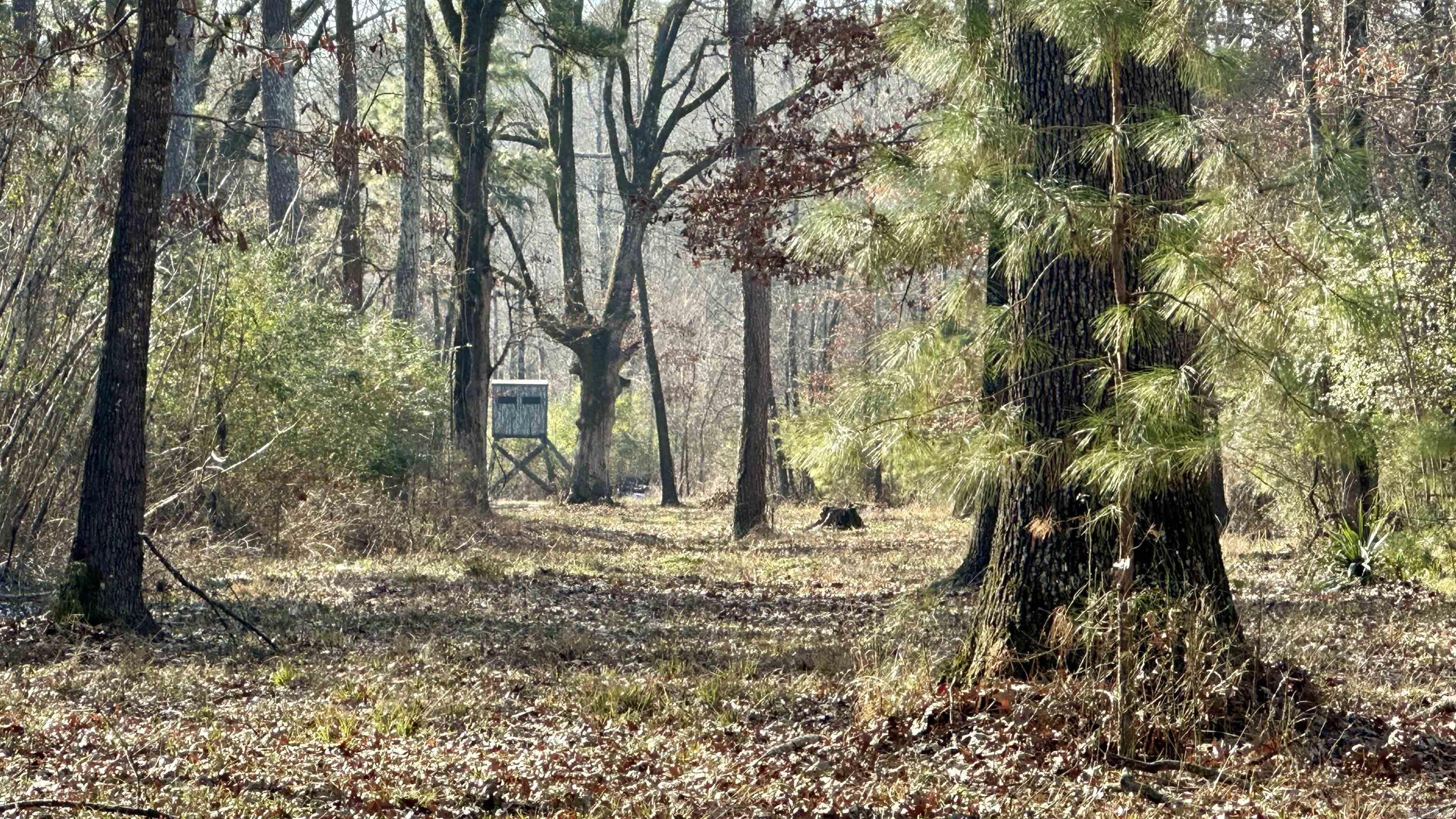 000 E. 38th Ave.  Pine Bluff, AR