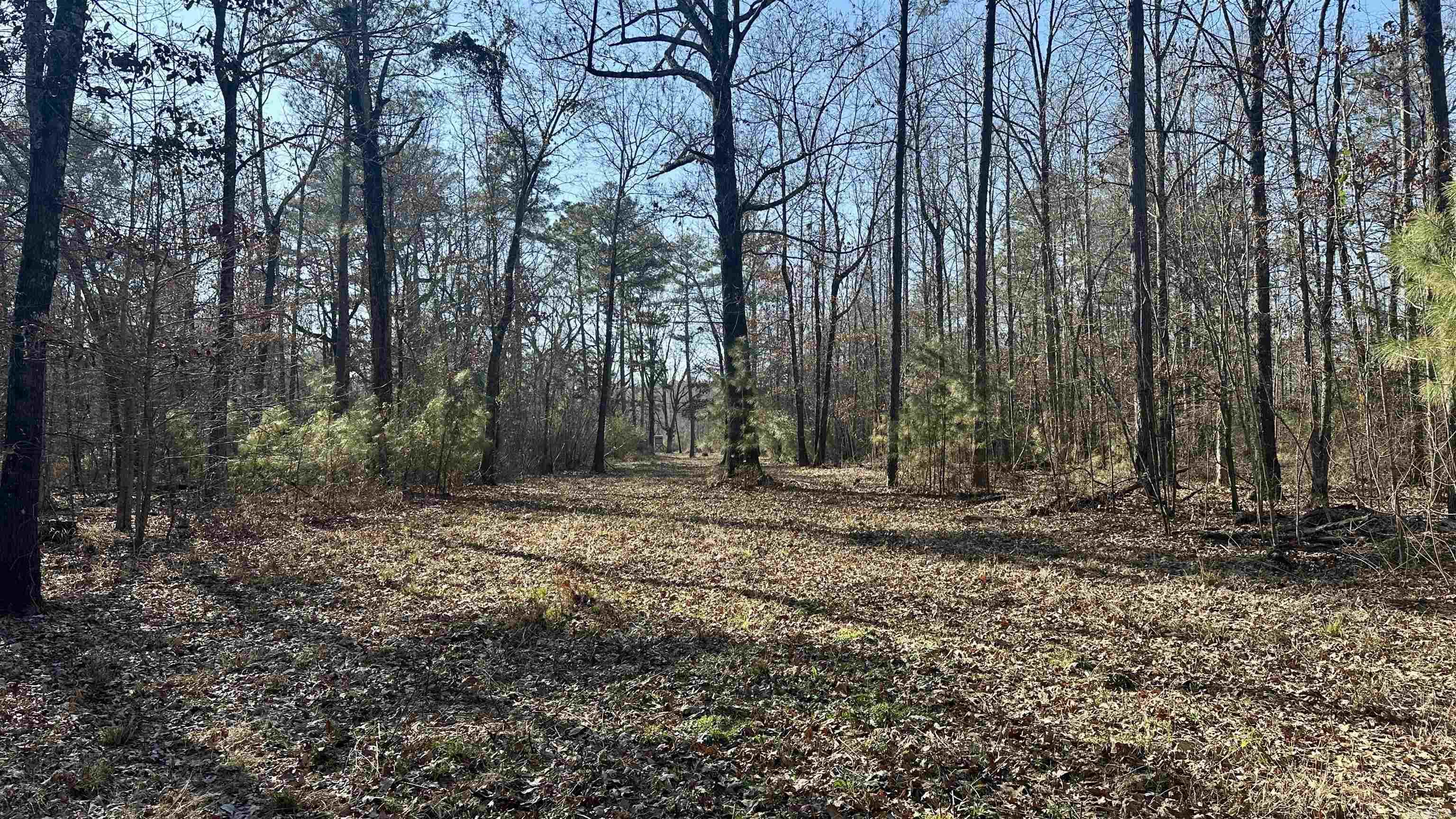 000 E. 38th Ave.  Pine Bluff, AR